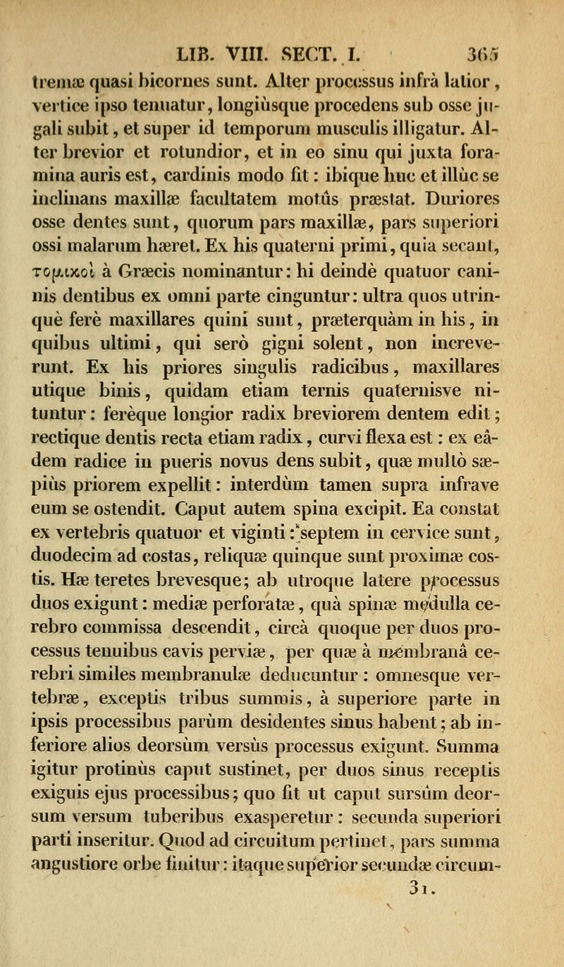 treina? quasi bicornes sunt. Alter processus infra lalior, vertice ipso tenuatur, longiusque procedens sub osse ju- gali subit, et super id temporuni musculis illigatur. Al- ter brevior et rotundior, et in eo sinu qui juxta fora- mina auris est, cardiuis modo fit: ibique huc et illuc se inclinans maxillae facultatem mot.us prsestat. Duriores osse dentes sunt, quorum pars maxilhe, pars superiori ossi malarum haeret. Ex his quaterni primi, quia secanl, Top.i)coi a Grsecis nominantur: hi deinde quatuor cani- nis dentibus ex omni parte cinguntur: ultra quos utrin- que fere maxillares quini sunt, prseterquam in his, in quibus ultimi, qui sero gigni solent, non increve- runt. Ex his priores singulis radicibus, maxillares utique binis, quidam etiam ternis quateruisve ni- tuntur: fereque longior radix breviorem dentem edit; rectique dentis recta etiam radix, curvi flexa est: ex ea- dem radice in pueris novus dens subit, quse mullo sae- pius priorem expellit: interdum tamen supra infrave eum se ostendit. Caput autem spina excipit. Ea constat ex vertebris quatuor et viginti fseptem in cervice sunt, duodecim ad costas, reliquse quinque sunt proximae cos- tis. Hae teretes brevesque; ab utroque latere processus duos exigunt: mediae perforatai, qua spina? nu/dulla ce- rebro commissa descendit, circa quoque per duos pro- cessus tenuibus cavis pervise, per qua± a niembrana ce- rebri similes membranulae deducuntur : omnesque ver- tebrae, exceptis tribus summis, a superiore parte in ipsis processibus parum desidentes sinus habent; ab in- feriore alios deorsum versus processus exigunt. Summa igitur protinus caput sustinet, per duos sinus receptis exiguis ejus processibus; quo fit ut caput sursum deor- sum versum tuberibus exasperetur : secunda superiori parti inseritur. Quod ad circuitum pertinet, pars summa angustiore orbe finilur: itaque superior secunda? circum- 3i.