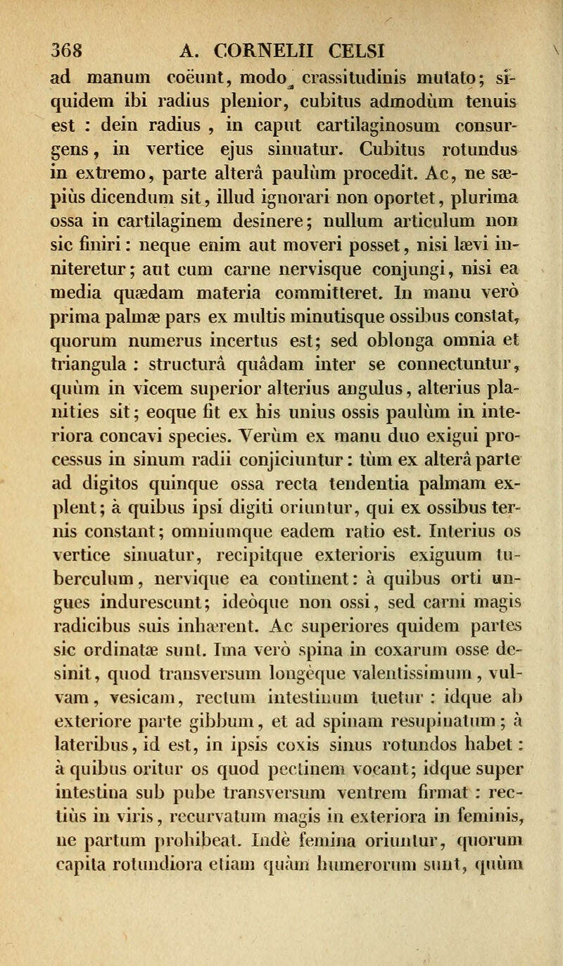 ad manum coeunt, modo^ crassitudinis mulato; si- quidem ibi radius plenior, cubitus admodum tenuis est : dein radius , in caput cartilaginosum consur- gens, in vertice ejus sinuatur. Cubitus rotundus in extremo, parte altera paulum procedit. Ac, ne sae- pius dicendum sit, illud ignorari non oportet, plurima ossa in cartilaginem desinere; nullum articulum non sic finiri: neque enim aut moveri posset, nisi kevi in- niteretur; atit cum carne nervisque conjungi, nisi ea media quaedam materia committeret. In manu vero prima palmae pars ex multis minutisque ossibus conslat, quorum numerus incertus est; sed oblouga omnia et triangula : structura quadam inter se connectuntur, quum in vicem superior alterius augulus, alterius pla- nities sit; eoque fit ex his unius ossis paulum in inte- riora concavi species. Verum ex manu duo exigui pro- cessus in sinum radii conjiciuntur: tum ex altera parte ad digitos quinque ossa recta tendentia palmam ex- pleut; a quibus ipsi digiti oriuntur, qui ex ossibus ter- nis conslant; omniumque eadem ratio est. Interius os vertice sinuatur, recipitque exterioris exiguum tu- berculum, nervique ea contiuent: a quibus orti un- gues indurescunt; ideoque non ossi, sed carni magis radicibus suis inhaeuent. Ac superiores quidem partes sic ordinatae sunl. Ima vero spina in coxarum osse de- sinit, quod transversum longeque valentissimurn, vul- vam, vesicam, rectum intestinum tuetur : idque ab exteriore parte gibbum, et ad spinam resupiuatum; a lateribus, id est, in ipsis coxis sinus rotundos habet: a quibus oritur os quod peclinem vocant; idque super intestina sub pube transversum ventrem firmat : rec- tius in viris, recurvatum magis in e.xteriora in feminis, ne partum prohibeat. Inde femina oriunlur, quorum capita rotundiora eliam quam huinerorum sunt, quum