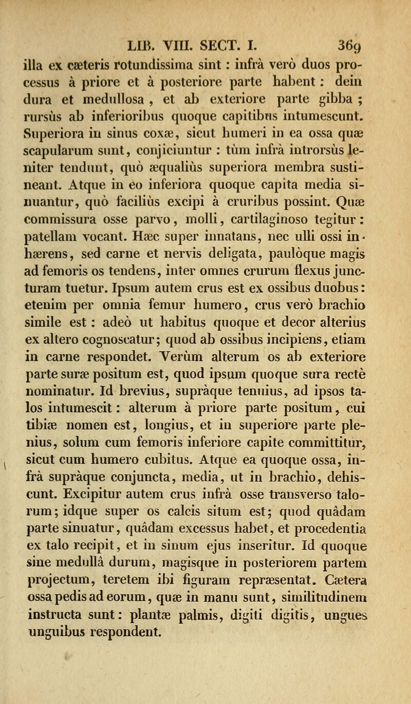 illa ex cseteris rotundissima sint: infra vero duos pro- cessus a priore et a posteriore parte habent: dein dura et medullosa , et ab exteriore parte gibba ; rursus ab inferioribus quoque capitibus intumescunt. Superiora in sinus coxse, sicut humeri in ea ossa quse scapularum sunt, conjiciuntur : tum infra introrsus le- niter tendunt, quo asqualius superiora membra susti- neant. Atque in eo inferiora quoque capita media si- nuantur, quo facilius excipi a cruribus possint. Quse commissura osse parvo, molli, cartilaginoso tegitur : patellam vocant. Haec super innatans, nec ulli ossi in< haerens, sed carne et nervis deligata, pauloque magis ad femoris os tendens, inter omnes crurum flexus junc- turam tuetur. Ipsum autem crus est ex ossibus duobus: etenim per omnia femur humero, crus vero brachio simile est: adeo ut habitus quoque et decor alterius ex altero cognoseatur; quod ab ossibus incipiens, etiam in carne respondet. Verum alterum os ab exteriore parte surae positum est, quod ipsum quoque sura recte nominatur. Id brevius, supraque tenuius, ad ipsos ta- los intumescit: alterum a priore parte positum, cui tibise nomen est, longius, et in superiore parte ple- nius, solum cum femoris inferiore capite committitur, sicut cum humero cubitus. Atque ea quoque ossa, in- fra supraque conjuncta, media, ut in brachio, dehis- cunt. Excipitur autem crus infra osse transverso talo- rum;idque super os calcis situm est; quod quadam parte sinuatur, quadam excessus habet, et procedentia ex talo recipit, et in sinum ejus inseritur. Id quoque sine medulla durum, magisque in posteriorem partem projectum, teretem ibi figuram reprsesentat. Csetera ossapedisadeorum, quse in manu sunt, similitudinem instructa sunt: plantae paimis, digiti digitis, ungues unguibus respondent.