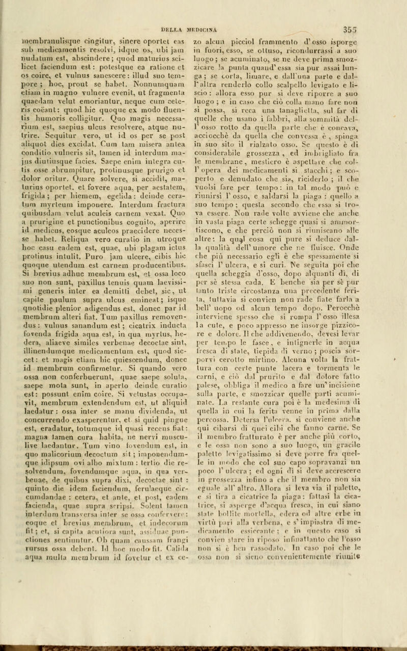 mcmbranulisque cingitur, sincre opovtct ras sub raedicamenlis resolvi, idque os, ubi jam nudatimi est, abscindere ; quod malurius sci- lieet faciendum est : potestque ea ralioue et os coire, et vulnus sanescere : illud suo tem- pore ; hoc, prout se habet. Nonnumquam etiam in magno vulnere evenit, ut frammenta quaedam velut emoriantur, ncque cura cete- ris eoèant: quod bic quoque ex modo fluen- tis humoris collìgilur. Quo magis necessa- rium est, saepius ulcus resolvere, atque nu- trire. Sequitur vero, ut id os per se post aliquot dies excidat. Cum tam misera anlea conditio valneris sit, (amen id interdillo ma- jus diutiusque facies. Saepc enira integra cu- tis osse abrumpitur, protinusque prurigo et dolor oritur. Quare solvere, si accidil, ma- lurius oportet. et fovere aqua, per acslatem, frigida ; per biemem, egelida : deinde cera- timi myrteum impouere. Interdum fractura quibusdam velut aculeis carnem vexat. Quo a prurigine et punctionibus cognito, aperire id medicus, eosque aculeos praecidere Deces- se habet. Reliqua vero curalio in utroque hoc casu eadem est, quae, ubi plagam ictus protinus intulit. Puro jam ulcere, cibis bic quoque utendum est carnem producentibus. Si brevius adhuc meuibrum est, et ossa loco suo non sunt, paxillus tenuis quam laevissi- mi generis inter ea demitti debet, sic, ut capite paulum supra ulcus emineat ; isque qnotidie plenior adigendus est, donec par id membrum alteri fiat. Tura paxillus removen- dus : vulnus sanandum est ; cicatrix inducta fovenda frigida aqua est, in qua rnyrtus, he- dera, aliaeve similes verbenae decoctae sint, illinendurnque medicamenlum est, quod sic- cet: et magis etiam bic quiescendum, donec id membrum confirmelur. Si quando vero ossa non conferbuerunt, quae saepe soluta, saepe mota sunt, in aperto deinde curalio est: possunt cnim coire. Sì vetustas occupa- vit, membrum extendendum est, ut aliquid laedatur : ossa inter se maini dividenda, ut concurrendo exasperentur, et si quid pingue est, eradatur, lotumque id quasi recens Bai : magna laraen cura babita, ne nervi muscu- Iive laedantur. Tura vino lovendum est, in quo malicorium decoctum sit ; iniponcndum- que i<lipsum ovi albo mixlum : ter tip die re- solvendum, fovendurnque aqua, in qua ver- benae, de quibus supra dixi, decoctae sint : quinto die idem faciendum, ferulaeque cir- cumdandae : cetera, et ante, et post, eadem faeienda, quae supra srripsi. Solenl lami n interdum transversa inter se ossa confervere: eoque et brevius membrum, et indecorpm lit ; et, si capila aculjora sunt, assiduae pun- cliones scntiiintur. Ob quam caussam frangi niisiis ossa debent. Id hoc raodo>fit. Calida aqua multa membrum id fovetur ci ex ce- zo alcun picciol frammenlo d'osso isporge in fuori, esso, se olluso, ricomlurrassi a suo luogo; se acuminato, se ne deve prima smoz- zicare !a punta quand'essa sia pur assai lun- ga ; se corta, limare, e dall'una parte e dal- 1 al Ira renderlo collo scalpello levigato e li- scio : allora esso pur si deve riporre a suo luogo ; e in caso che ciò colla mano lare non si possa, si reca ima tanaglici la, sul far di quelle che usano i fabbri, alla sommità del- l' osso rotto da quella parte che è concava, acciocché da quella che convessa è , spinga in suo sito il rialzalo osso. Se questo è di considerabile grossezza , ed imbrigliato fra le membrane, mestiero è aspettare die col- opei dei medicamenti si slaccili ; e sco- perto e denudalo che sia, riciderlo ; il che vuoisi fare per tempo: in lai modo può e riunirsi V osso, e saldarsi la piaga : quello ;* suo tempo ; questa secondo che essa si tro- va essere. Non rade volte avviene che ambe in vasta piaga certe schegge quasi si ammor- tiscono, e che perciò non si riuniscano alle altre: la qua;l cosa qui pure si deduce «lai- la qualità dell1 umore che ne fluisce. Onde che più necessario egli è che spessamente si sfasci V ulcera, e si curi. Ne seguita poi che quella scheggia d'osso, dopo alquanti dì, di per sé stessa cada. E benché sia per se pur tanto triste circostanza una precedente feri- ta, tuttavia si convien non rade fiate farla a beli1 uopo od alcun tempo dopo. Perocché interviene spesso che si rompa Y osso illesa la cute, e poco appresso ne insorge pizzico- re e dolore. Il che addivenendo, devesi levar per tempo le fasce, e inlignerle in acqua fresca di state, tiepida di verno ; poscia ser- pervi cerotto mirtino. Alcuna Volta la frat- tura con certe punte lacera e tormenta le carni, e ciò dal prurito e dal dolore fatto palese, obbliga il medico a fare un'incisione sulla parie, e smozzicar quelle parli acumi- nate. La restante cura poi è la medesima di quella in cui la ferita venne in prima dalla percossa. Detersa l'ulcera, si conviene anche qui cibarsi di quei cibi che fanno carne. Se il membro fratturalo è per anche più corto, e le ossa non sono a suo luogo, i\n gracile paletto levigaiissimo si deve [ione fra ((cel- le in modo che col suo capo sopravanzi un poco T ubera ; ed ogni dì si deve accrescere in grossezza infino a che il membro non sia eguale alT altro. Allora si leva via il paletto, e si lira a cicatrice la piaga: fattasi la cica- trice, sì asperge d'acqua fresca, in cui siano slate bollite mortella, edera od altre erbe in virtù pari alla verbena, e s'impiastra di me- dicamento essiccante ; e in (mesto caso si convien slare in riposo infinatlanto che lóiso non si è ben rassodato. In caso poi che le non si sicno convenientemente riunii*