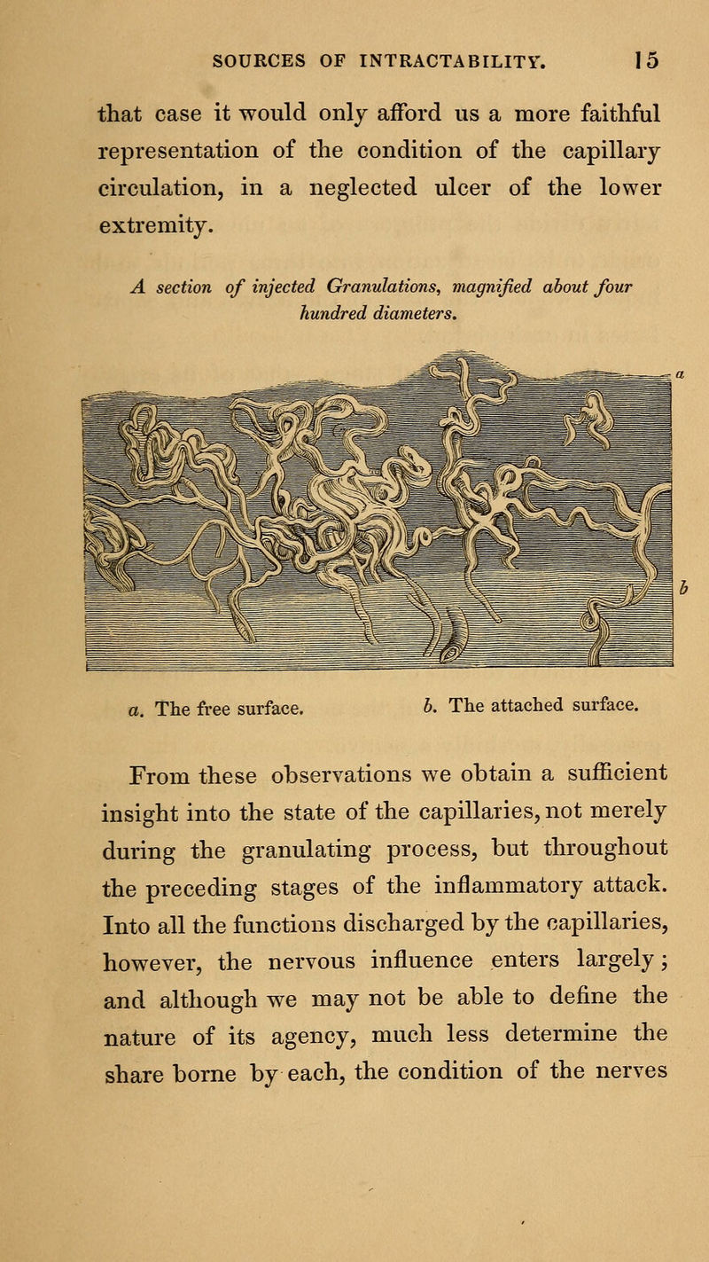 that case it would only afford us a more faithful representation of the condition of the capillary circulation, in a neglected ulcer of the lower extremity. A section of injected Granulations, magnified about four hundred diameters. a. The free surface. b. The attached surface. From these observations we obtain a sufficient insight into the state of the capillaries, not merely during the granulating process, but throughout the preceding stages of the inflammatory attack. Into all the functions discharged by the capillaries, however, the nervous influence enters largely; and although we may not be able to define the nature of its agency, much less determine the share borne by each, the condition of the nerves