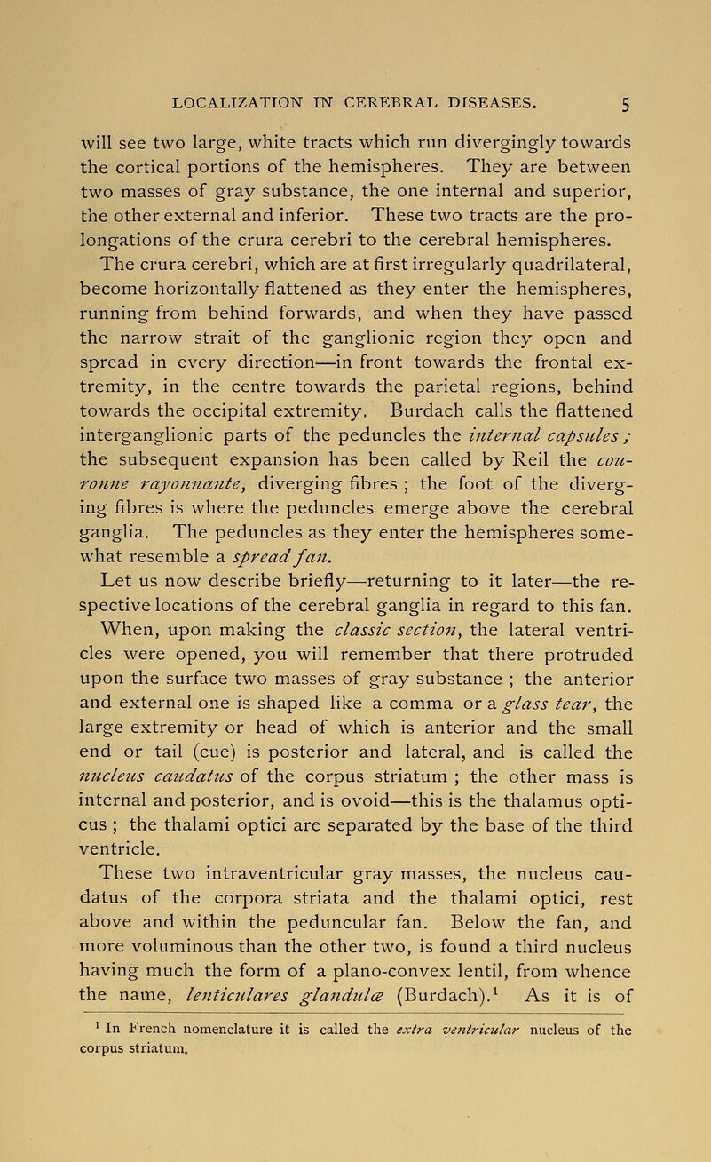 will see two large, white tracts which run divergingly towards the cortical portions of the hemispheres. They are between two masses of gray substance, the one internal and superior, the other external and inferior. These two tracts are the pro- longations of the crura cerebri to the cerebral hemispheres. The crura cerebri, which are at first irregularly quadrilateral, become horizontally flattened as they enter the hemispheres, running from behind forwards, and when they have passed the narrow strait of the ganglionic region they open and spread in every direction—in front towards the frontal ex- tremity, in the centre towards the parietal regions, behind towards the occipital extremity. Burdach calls the flattened interganglionic parts of the peduncles the internal capsules ; the subsequent expansion has been called by Reil the con- ro7ine rayonnante, diverging fibres ; the foot of the diverg- ing fibres is where the peduncles emerge above the cerebral ganglia. The peduncles as they enter the hemispheres some- what resemble a spread fan. Let us now describe briefly—returning to it later—the re- spective locations of the cerebral ganglia in regard to this fan. When, upon making the classic sectioti, the lateral ventri- cles were opened, you will remember that there protruded upon the surface two masses of gray substance ; the anterior and external one is shaped like a comma O'c 2. glass tear, the large extremity or head of which is anterior and the small end or tail (cue) is posterior and lateral, and is called the nucleus caudatus of the corpus striatum ; the other mass is internal and posterior, and is ovoid—this is the thalamus opti- cus ; the thalami optici are separated by the base of the third ventricle. These two intraventricular gray masses, the nucleus cau- datus of the corpora striata and the thalami optici, rest above and within the peduncular fan. Below the fan, and more voluminous than the other two, is found a third nucleus having much the form of a plano-convex lentil, from whence the name, lenticulares glandulce (Burdach).^ As it is of ^ In French nomenclature it is called the extra ventricular nucleus of the corpus striatum.