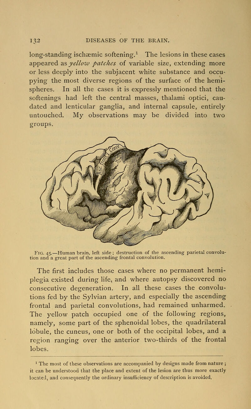 long-standing ischaemic softening.^ The lesions in these cases appeared ^.s yellow patches of variable size, extending more or less deeply into the subjacent white substance and occu- pying the most diverse regions of the surface of the hemi- spheres. In all the cases it is expressly mentioned that the softenings had left the central masses, thalami optici, cau- dated and lenticular ganglia, and internal capsule, entirely untouched. My observations may be divided into two groups. Fig. 45.—Human brain, left side ; destruction of the ascending parietal convolu- tion and a great part of the ascending frontal convolution. The first includes those cases where no permanent hemi- plegia existed during life, and where autopsy discovered no consecutive degeneration. In all these cases the convolu- tions fed by the Sylvian artery, and especially the ascending frontal and parietal convolutions, had remained unharmed. The yellow patch occupied one of the following regions, namely, some part of the sphenoidal lobes, the quadrilateral lobule, the cuneus, one or both of the occipital lobes, and a region ranging over the anterior two-thirds of the frontal lobes. ^ The most of these observations are accompanied by designs made from nature; it can be understood that the place and extent of the lesion are thus more exactly located, and consequently the ordinary insufficiency of description is avoided.