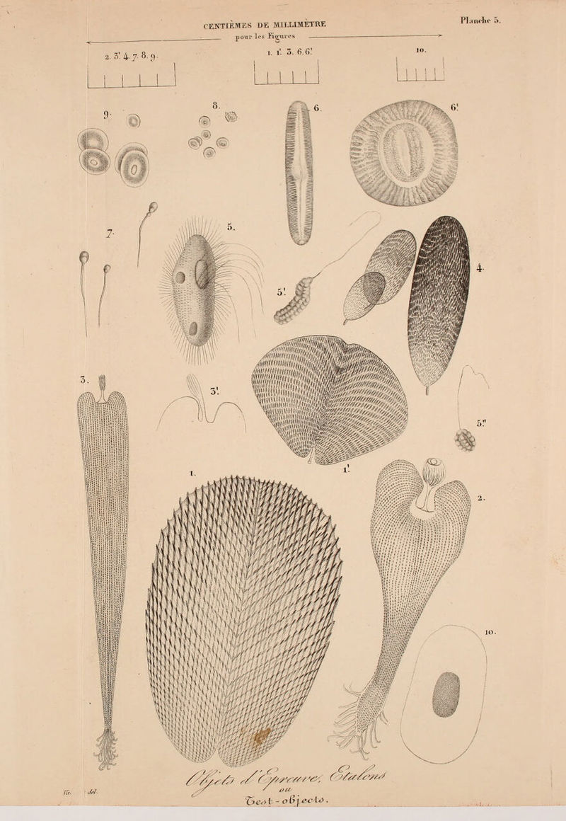 CENTIÈMES DE MILLIMETRE pour les Figures 1. il 3. 6.6! m <s : !if I il aftï ma '■'Mît, iïi. M -'';}:•■■■ ':■