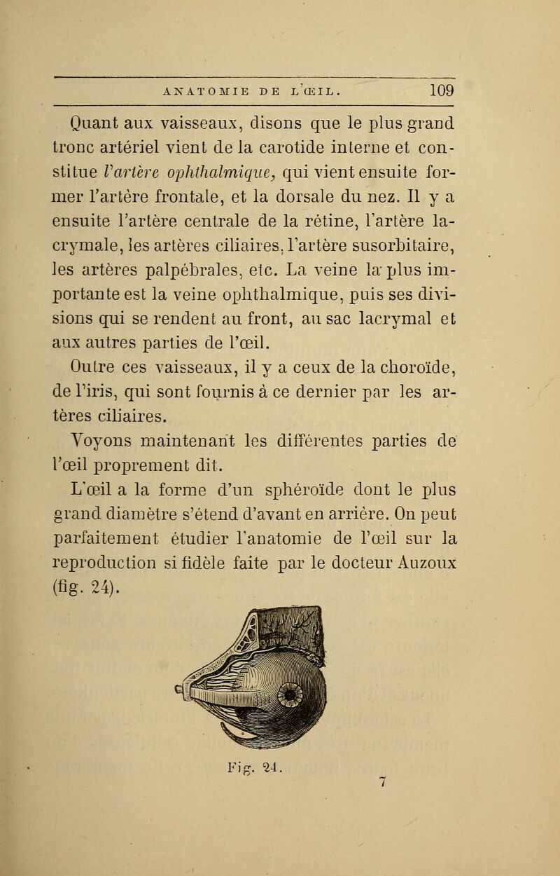 Quant aux vaisseaux, disons que le plus grand troDc artériel vient de la carotide interne et con- stitue Vartère ophthalmique, qui vient ensuite for- mer l'artère frontale, et la dorsale du nez. Il y a ensuite l'artère centrale de la rétine, l'artère la- crymale, les artères ciliaires. l'artère susorbitaire, les artères palpébrales, etc. La veine la plus im- portante est la veine ophthalmique, puis ses divi- sions qui se rendent au front, au sac lacrymal et aux autres parties de l'œil. Outre ces vaisseaux, il y a ceux de la choroïde, de Tiris, qui sont fournis à ce dernier par les ar- tères ciliaires. Voyons maintenant les différentes parties de l'œil proprement dit. L'œil a la forme d'un sphéroïde dont le plus grand diamètre s'étend d'avant en arrière. On peut parfaitement étudier Tanatomie de l'œil sur la reproduction si fidèle faite par le docteur Auzoux (fig. 24). Fie. 24.