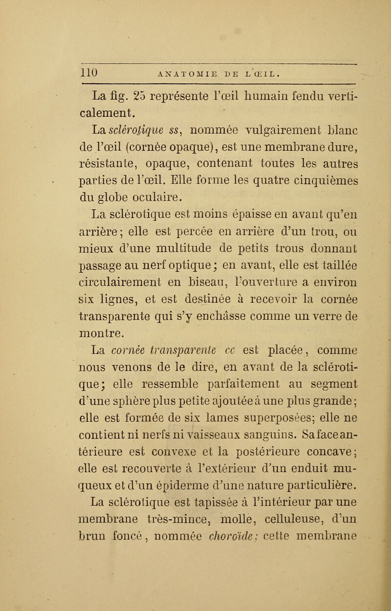 La fig. 25 représente l'œil humain fendu verti- calement. La sclérotique ss, nommée vulgairement blanc de l'œil (cornée opaque), est une membrane dure, résistante, opaque, contenant toutes les autres parties de l'œil. Elle forme les quatre cinquièmes du globe oculaire. La sclérotique est moins épaisse en avant qu'en arrière ; elle est percée en arrière d'un trou, ou mieux d'une multitude de petits trous donnant passage au nerf optique; en avant, elle est taillée circulairement en biseau, l'ouverture a environ six lignes, et est destinée à recevoir la cornée transparente qui s'y enchâsse comme un verre de montre. La cornée transparente ce est placée, comme nous venons de le dire, en avant de la scléroti- que; elle ressemble parfaitement au segment d'une sphère plus petite ajoutée à une plus grande ; elle est formée de six lames superposées; elle ne contient ni nerfs ni vaisseaux sanguins. Safacean- térieure est convexe et la postérieure concave ; elle est recouverte à l'extérieur d'un enduit mu- queux et d'un épiderme d'une nature particulière. La sclérotique est tapissée à l'intérieur par une membrane très-mince, molle, celluleuse, d'un brun foncé, nommée choroïde: cette membrane