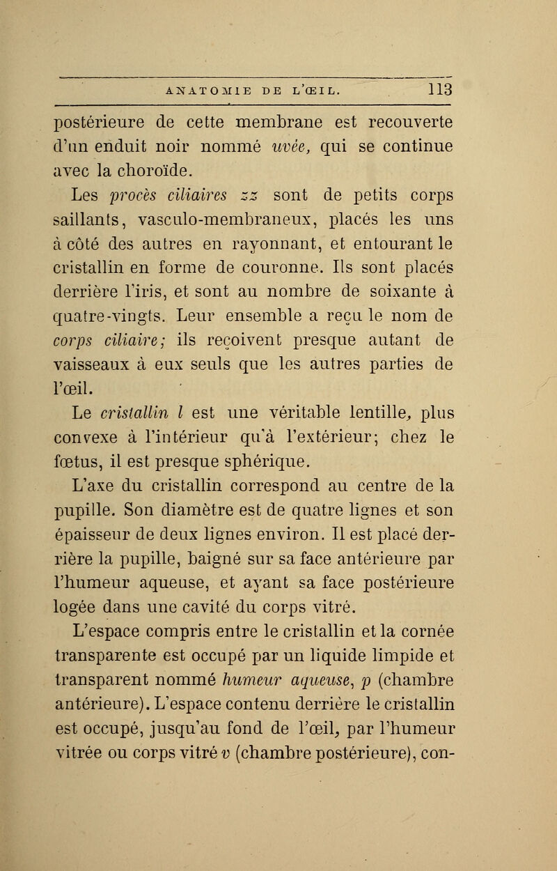 postérieure de cette membrane est recouverte d'an enduit noir nommé uvée, qui se continue avec la choroïde. Les procès ciliaires zz sont de petits corps saillants, vasculo-membraneux, placés les uns à côté des autres en rayonnant, et entourant le cristallin en forme de couronne. Ils sont placés derrière l'iris, et sont au nombre de soixante à quatre-vingts. Leur ensemble a reçu le nom de corps ciliaire; ils reçoivent presque autant de vaisseaux à eux seuls que les autres parties de l'œil. Le cristallin l est une véritable lentille, plus convexe à l'intérieur qu'à l'extérieur; chez le foetus, il est presque sphérique. L'axe du cristallin correspond au centre de la pupille. Son diamètre est de quatre lignes et son épaisseur de deux lignes environ. Il est placé der- rière la pupille, baigné sur sa face antérieure par l'humeur aqueuse, et ayant sa face postérieure logée dans une cavité du corps vitré. L'espace compris entre le cristallin et la cornée transparente est occupé par un liquide limpide et transparent nommé humeur aqueuse, p (chambre antérieure). L'espace contenu derrière le cristallin est occupé, jusqu'au fond de l'œil, par l'humeur vitrée ou corps vitré v (chambre postérieure), con-