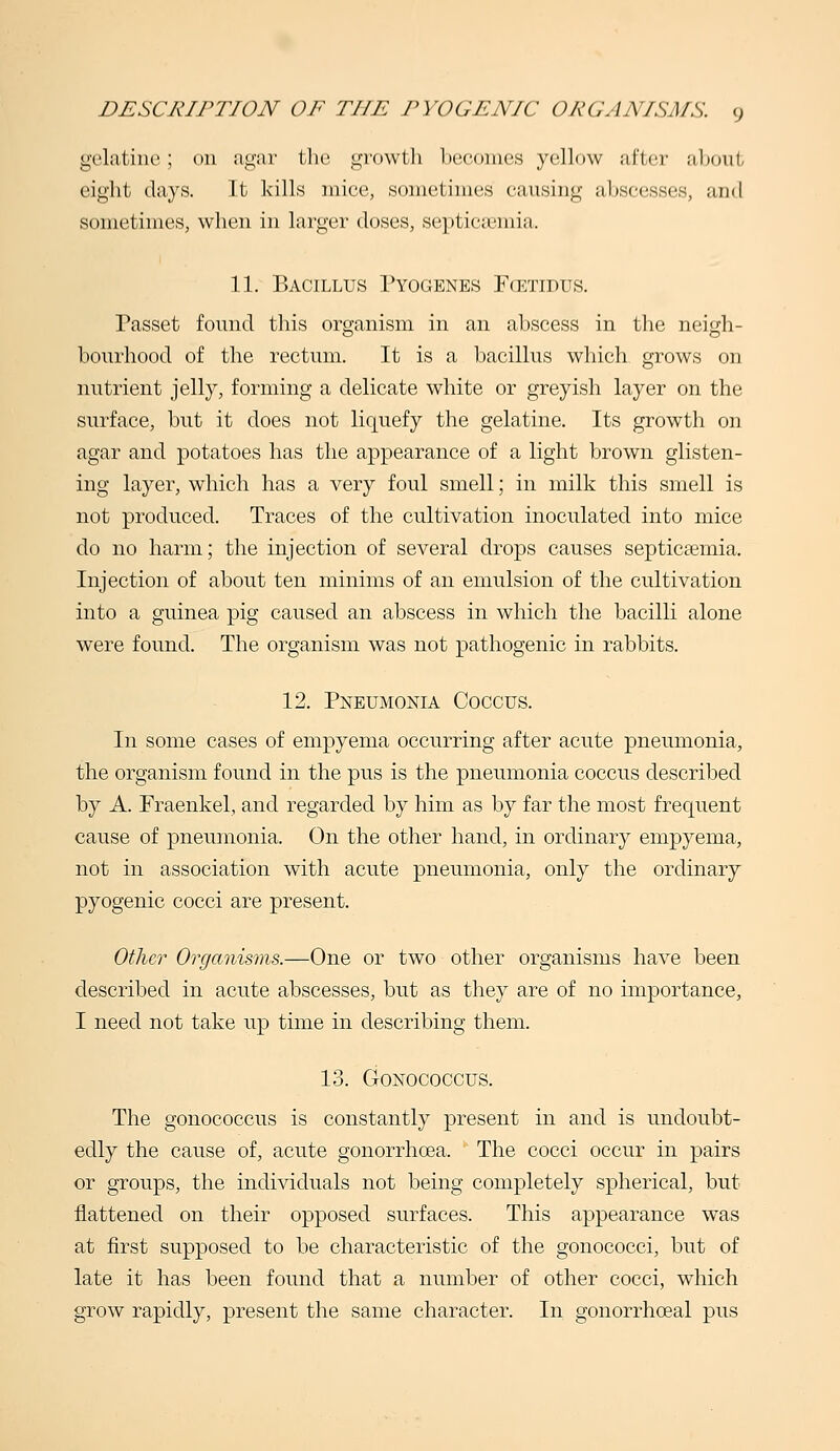 gelatine; on agar tlie growth becomes yellow after al)oul, eight days. It kills mice, sometimes causing abscesses, anti sometimes, when in larger doses, septicaBinia. 11. Bacillus Pyogenes Fcetidus. Passet found this organism in an abscess in the neigh- bourhood of the rectum. It is a bacillus which grows on nutrient jelly, forming a delicate white or greyish layer on the surface, but it does not liquefy the gelatine. Its growth on agar and potatoes has the appearance of a light brown glisten- ing layer, which has a very foul smell; in milk this smell is not produced. Traces of the cultivation inoculated into mice do no harm; the injection of several drops causes septicaemia. Injection of about ten minims of an emulsion of the cultivation into a guinea pig caused an abscess in which the bacilli alone were found. The organism was not pathogenic in rabbits. 12. Pneumonia Coccus. In some cases of empyema occurring after acute pneumonia, the organism found in the pus is the pneumonia coccus described by A. Fraenkel, and regarded by him as by far the most frequent cause of pneumonia. On the other hand, in ordinary empyema, not in association with acute pneumonia, only the ordinary pyogenic cocci are present. Other Organisms.—One or two other organisms have been described in acute abscesses, but as they are of no importance, I need not take up time in describing them. 13. GONOCOCCUS. The gonococcus is constantly present in and is undoubt- edly the cause of, acute gonorrhoea. The cocci occur in pairs or groups, the individuals not being completely spherical, but flattened on their opposed surfaces. This appearance was at first supposed to be characteristic of the gonococci, but of late it has been found that a number of other cocci, which grow rapidly, present the same character. In gonorrhceal pus
