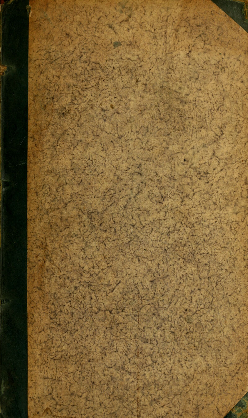 ^c ^.i^ .;... /^■; ^,.-