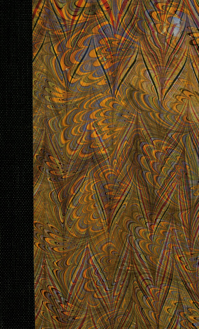 No text description is available for this image