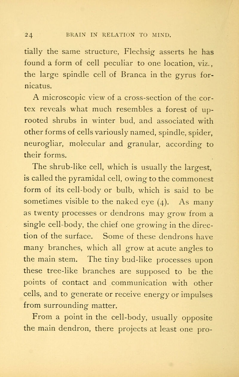 tially the same structure, Flechsig asserts he has found a form of cell peculiar to one location, viz., the large spindle cell of Branca in the gyrus for- nicatus. A microscopic view of a cross-section of the cor- tex reveals what much resembles a forest of up- rooted shrubs in winter bud, and associated with other forms of cells variously named, spindle, spider, neurogliar, molecular and granular, according to their forms. The shrub-like cell, which is usually the largest, is called the pyramidal cell, owing to the commonest form of its cell-body or bulb, which is said to be sometimes visible to the naked eye (4). As many as twenty processes or dendrons may grow from a single cell-body, the chief one growing in the direc- tion of the surface. Some of these dendrons have many branches, which all grow at acute angles to the main stem. The tiny bud-like processes upon these tree-like branches are supposed to be the points of contact and communication with other cells, and to generate or receive energy or impulses from surrounding matter. From a point in the cell-body, usually opposite the main dendron, there projects at least one pro-