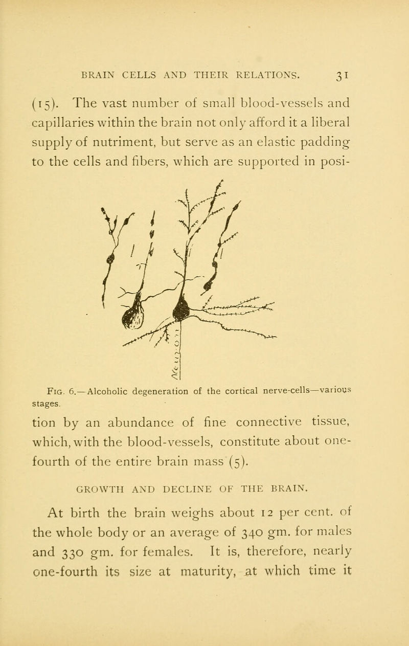 (15). The vast number of small blood-vessels and capillaries within the brain not only afford it a liberal supply of nutriment, but serve as an elastic padding to the cells and fibers, which are supported in posi- Fig. 6.—Alcoholic degeneration of the cortical nerve-cells—various stages. tion by an abundance of fine connective tissue, which, with the blood-vessels, constitute about one- fourth of the entire brain mass (5). GROWTH AND DECLINE OF THE BRAIN. At birth the brain weighs about 12 per cent, of the whole body or an average of 340 gm. for males and 330 gm. for females. It is, therefore, nearly one-fourth its size at maturity, at which time it