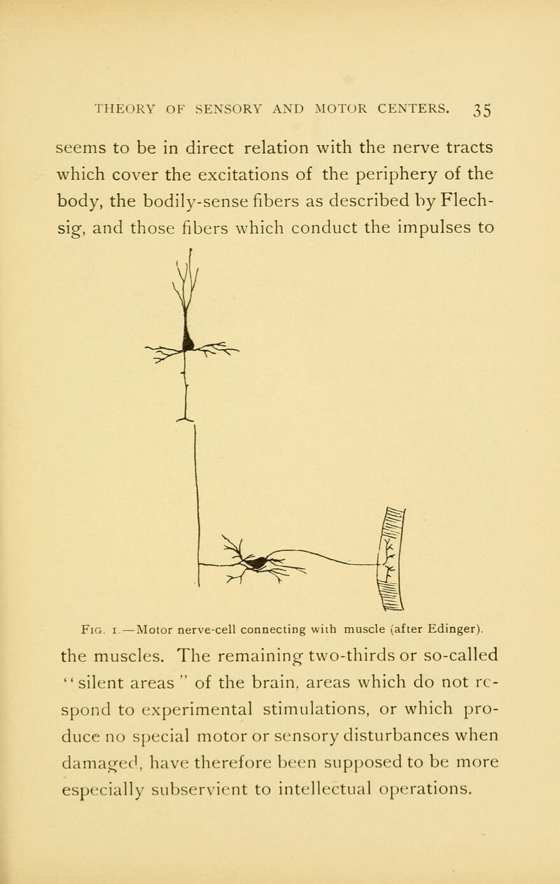 seems to be in direct relation with the nerve tracts which cover the excitations of the periphery of the body, the bodily-sense fibers as described by Flech- sig, and those fibers which conduct the impulses to Fig. 1. — Motor nerve-cell connecting with muscle (after Edinger). the muscles. The remaining- two-thirds or so-called 11 silent areas  of the brain, areas which do not re- spond to experimental stimulations, or which pro- duce no special motor or sensory disturbances when damaged, have therefore been supposed to be more especially subservient to intellectual operations.