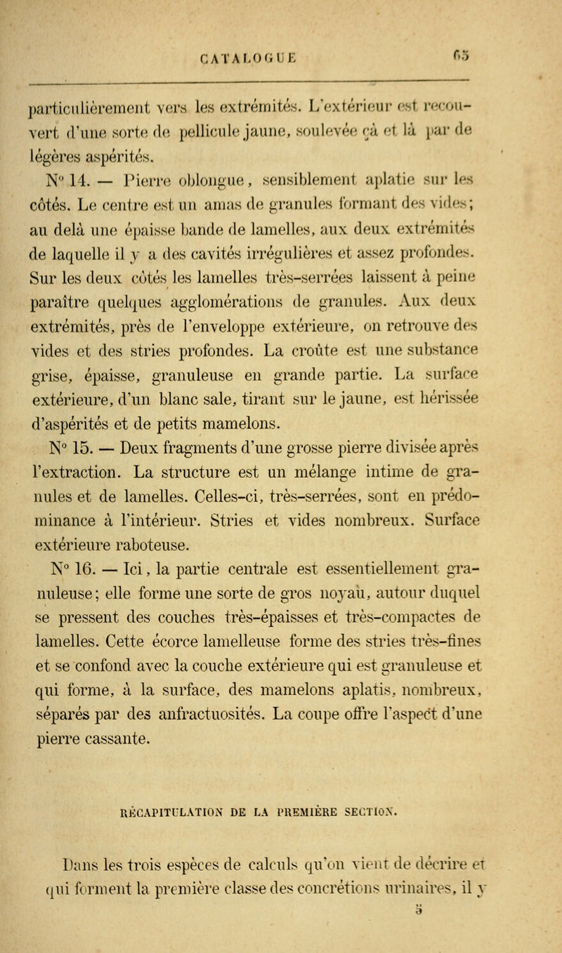 CATAL0G1 E r,;> particulièrement vers les extrémités. L'extérieur est recou- vert d'une sorte de pellicule jaune, soulevée ça <t là par de légères aspérités, N<» 14.— Pierre oblongue, sensiblement aplatie but i côtés. Le centre est un amas de granules formant des vide ; au delà une épaisse bande de lamelles, aux deux extrémité de laquelle il y a des cavités irrégulières et assez profond*-. Sur les deux cotés les lamelles très-serrées laissent à peine paraître quelques agglomérations de granules. Aux deux extrémités, près de l'enveloppe extérieure, on retrouve des vides et des stries profondes. La croûte est une substance grise, épaisse, granuleuse en grande partie. La surface extérieure, d'un blanc sale, tirant sur le jaune, est hérissée d'aspérités et de petits mamelons. N° 15. — Deux fragments d'une grosse pierre divisée après l'extraction. La structure est un mélange intime de gra- nules et de lamelles. Celles-ci, très-serrées, sont en prédo- minance à l'intérieur. Stries et vides nombreux. Surface extérieure raboteuse. N° 16. — Ici, la partie centrale est essentiellement gra- nuleuse; elle forme une sorte de gros noyau, autour duquel se pressent des couches très-épaisses et très-compactes de lamelles. Cette écorce lamelleuse forme des stries très-fines et se confond avec la couche extérieure qui est granuleuse et qui forme, à la surface, des mamelons aplatis, nombreux, séparés par des anfractuosités. La coupe offre l'aspect d'une pierre cassante. RÉCAPITULATION DE LA PREMIÈRE SECTION. Dans les trois espèces de calculs qu'on vient de décrire et qui forment la première classe des concrétions urinaires, il y