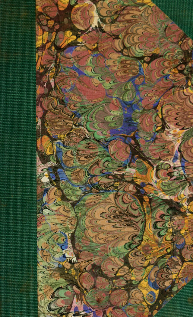 No text description is available for this image