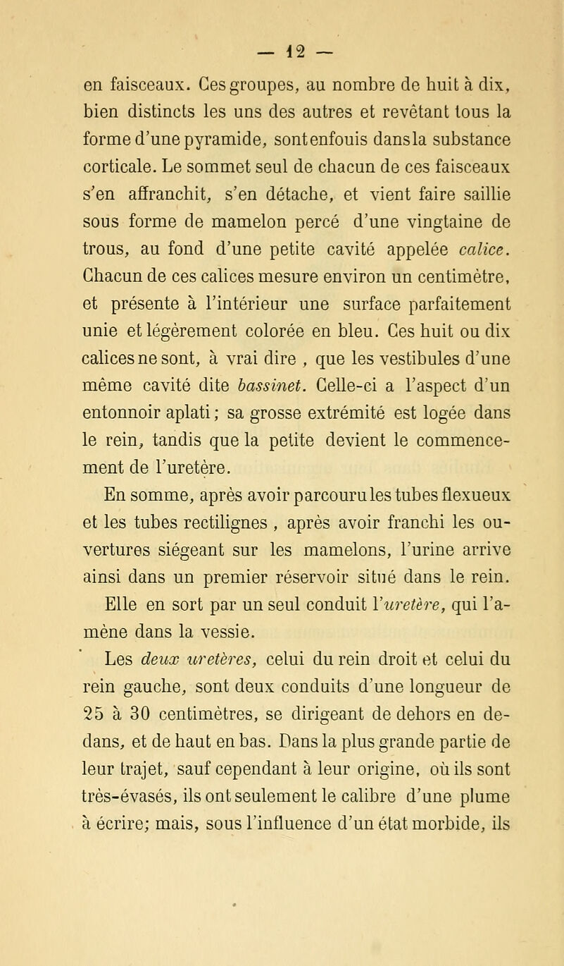 — 42 — en faisceaux. Ces groupes, au nombre de huit à dix, bien distincts les uns des autres et revêtant tous la forme d'une pyramide, sontenfouis dansla substance corticale. Le sommet seul de chacun de ces faisceaux s'en affranchit, s'en détache, et vient faire saillie sous forme de mamelon percé d'une vingtaine de trous, au fond d'une petite cavité appelée calice. Chacun de ces calices mesure environ un centimètre, et présente à l'intérieur une surface parfaitement unie et légèrement colorée en bleu. Ces huit ou dix calices ne sont, à vrai dire , que les vestibules d'une même cavité dite bassinet. Celle-ci a l'aspect d'un entonnoir aplati ; sa grosse extrémité est logée dans le rein, tandis que la petite devient le commence- ment de l'uretère. En somme, après avoir parcourûtes tubes flexueux et les tubes rectilignes , après avoir franchi les ou- vertures siégeant sur les mamelons, l'urine arrive ainsi dans un premier réservoir situé dans le rein. Elle en sort par un seul conduit Y uretère, qui l'a- mène dans la vessie. Les deux uretères, celui du rein droit et celui du rein gauche, sont deux conduits d'une longueur de 25 à 30 centimètres, se dirigeant de dehors en de- dans, et de haut en bas. Dans la plus grande partie de leur trajet, sauf cependant à leur origine, où ils sont très-évasés, ils ont seulement le calibre d'une plume à écrire; mais, sous l'influence d'un état morbide, ils