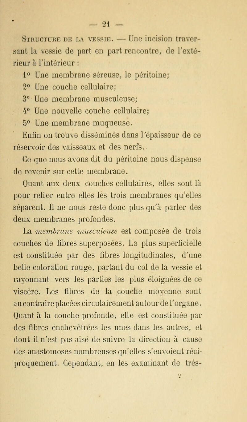 Structure de la vessie. — Due incision traver- sant la vessie de part en part rencontre, de l'exté- rieur à l'intérieur : 1° Une membrane séreuse, le péritoine; 2° Une couche cellulaire; 3° Une membrane musculeuse; 4° Une nouvelle couche cellulaire; 5° Une membrane muqueuse. Enfin on trouve disséminés dans l'épaisseur de ce réservoir des vaisseaux et des nerfs. Ce que nous avons dit du péritoine nous dispense de revenir sur cette membrane. Quant aux deux couches cellulaires, elles sont là pour relier entre elles les trois membranes qu'elles séparent. Il ne nous reste donc plus qu'à parler des deux membranes profondes. La membrane musculeuse est composée de trois couches de fibres superposées. La plus superficielle est constituée par des fibres longitudinales, d'une belle coloration rouge, partant du col de la vessie et rayonnant vers les parties les plus éloignées de ce viscère. Les fibres de la couche moyenne sont au contraire placées circulairement autour de l'organe. Quant à la couche profonde, elle est constituée par des fibres enchevêtrées les unes dans les autres, et dont il n'est pas aisé de suivre la direction à cause des anastomoses nombreuses qu'elles s'envoient réci- proquement. Cependant, en les examinant de très-