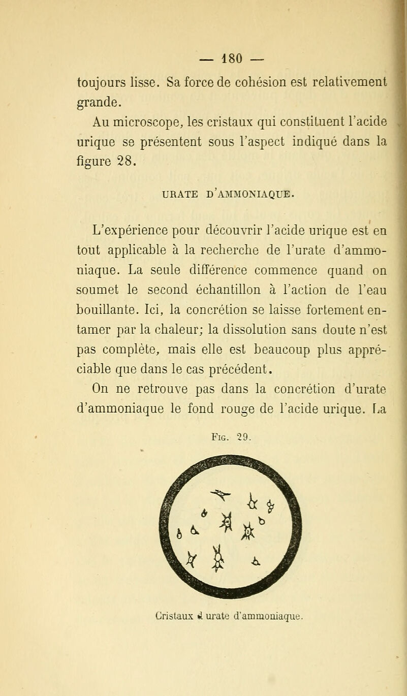 toujours lisse. Sa force de cohésion est relativement grande. Au microscope, les cristaux qui constituent l'acide urique se présentent sous l'aspect indiqué dans la figure 28. URATE D'AMMONIAQUE. L'expérience pour découvrir l'acide urique est en tout applicable à la recherche de l'urate d'ammo- niaque. La seule différence commence quand on soumet le second échantillon à l'action de l'eau bouillante. Ici, la concrétion se laisse fortement en- tamer par la chaleur; la dissolution sans doute n'est pas complète, mais elle est beaucoup plus appré- ciable que dans le cas précédent. On ne retrouve pas dans la concrétion d'urate d'ammoniaque le fond rouge de l'acide urique. La Fig. 29. Cristaux è urate d'ammoniaque.