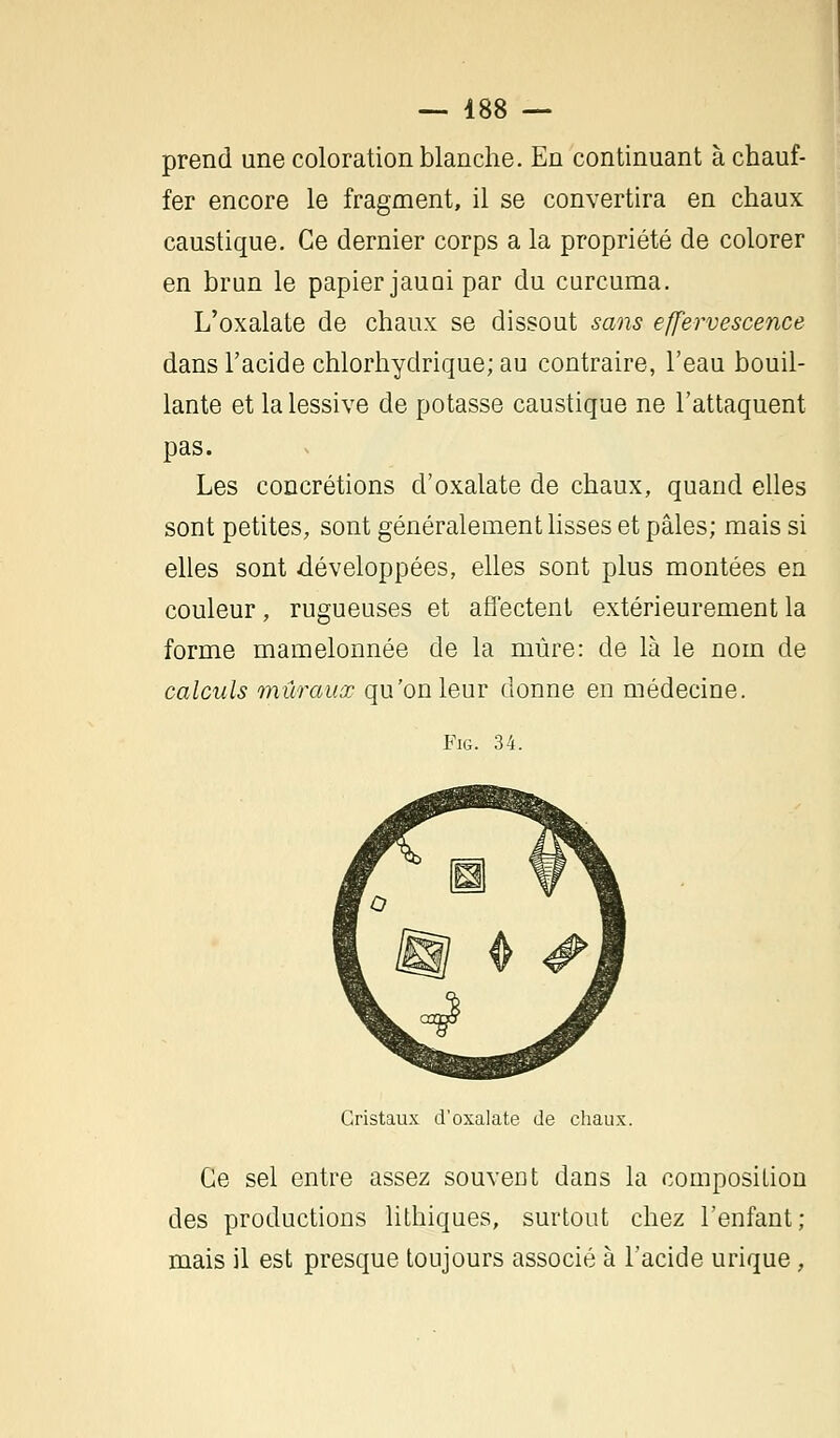 prend une coloration blanche. En continuant à chauf- fer encore le fragment, il se convertira en chaux caustique. Ce dernier corps a la propriété de colorer en brun le papier jauDi par du curcuma. L'oxalate de chaux se dissout sans effervescence dans l'acide chlorhydrique; au contraire, l'eau bouil- lante et la lessive de potasse caustique ne l'attaquent pas. Les concrétions d'oxalate de chaux, quand elles sont petites, sont généralement lisses et pâles; mais si elles sont développées, elles sont plus montées en couleur, rugueuses et affectent extérieurement la forme mamelonnée de la mûre: de là le nom de calculs muraux qu'on leur donne en médecine. Fig. 34. Cristaux d'oxalate de chaux. Ce sel entre assez souvent dans la composition des productions lithiques, surtout chez l'enfant; mais il est presque toujours associé à l'acide urique,