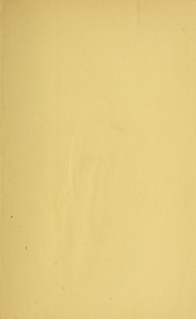 digitised image 3
