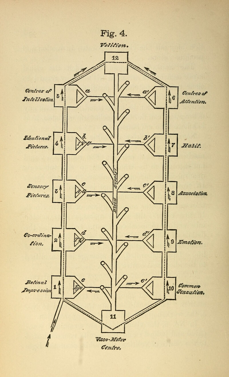 Fig. 4. SdeafzonaT tzon. Jletz'naZ Vcuio-JIdfov Cenfres ofi JlaZi^. Associaffin, ^mot/on-