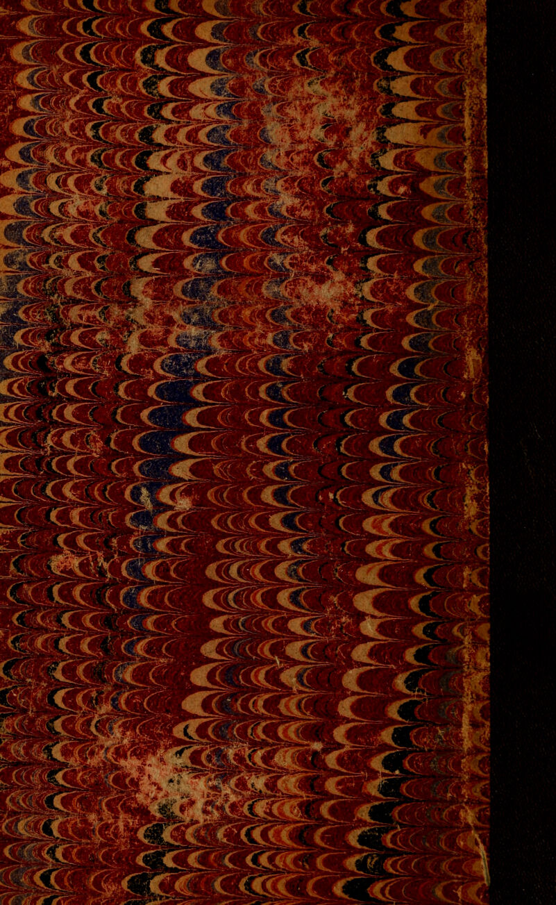 immt **3k. <c;c l~Q^X?~ i* J&, „ ' Twb\ ||fj£- c c m ^mc ' ■:-