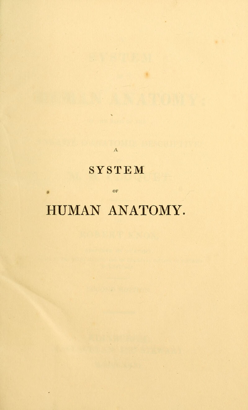 SYSTEM HUMAN ANATOMY.