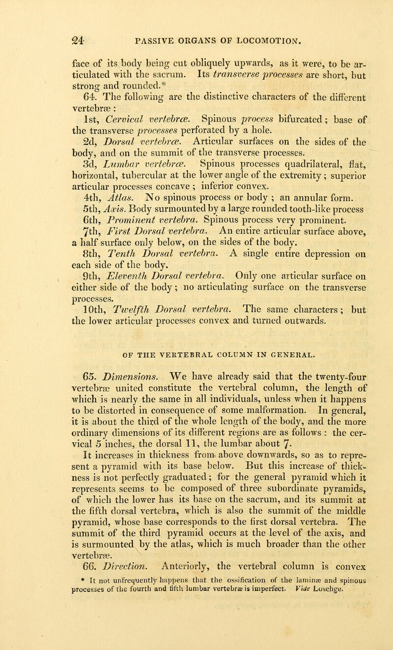 face of its body being cut obliquely upwards, as it were, to be ar- ticulated with the sacrum. Its transverse j^rocesses are short, but strong and rounded.* 64. The following are the distinctive characters of the different vertebrfE : 1st, Cervical vertehrce. Spinous process bifurcated; base of the transverse 'processes perforated by a hole. 2d, Dorsal vertehrce. Articular surfaces on the sides of the body, and on the summit of the transverse processes. 3d, Lumbar vertebr£B. Spinous processes quadrilateral, ilat, horizontal, tubercular at the lower angle of the extremity; superior articvilar processes concave ; inferior convex. 4th, Atlas. No spinous process or body ; an annular form. 5th, Aaiis. Body surmounted by a large rounded tooth-hke process 6th, Prominent vertebra. Spinous process very prominent. 7th, First Dorsal vertebra. An entire articular surface above, a half surface only below, on the sides of the body. 8th, Tenth Dorsal vertebra. A single entire depression on each side of the body. 9th, Eleventh Dorsal vertebra. Only one articular surface on either side of the body; no articulating surface on the transverse processes. 10th, Twelfth Dorsal vertebra. The same characters; but the lower articular processes convex and turned outwards. OF THE VERTEBRAL COLUMN IN GENERAL. Q5. Dimensions. We have already said that the twenty-four vertebrae united constitute the vertebral column, the length of which is nearly the same in all individuals, unless when it happens to be distorted in consequence of some malformation. In general, it is about the thixd of the whole length of the body, and the more ordinary dimensions of its different regions are as follows : the cer- vical 5 inches, the dorsal 11, the lumbar about 7- It increases in thickness from above downwards, so as to repre- sent a pyramid with its base below. But this increase of thick- ness is not perfectly graduated; for the general pyramid which it represents seems to be composed of three subordinate pyramids, of which the lower has its base on the sacrum, and its summit at the fifth dorsal vertebra, which is also the summit of the middle pyramid, whose base corresponds to the first dorsal vertebra. The summit of the third pyramid occurs at the level of the axis, and is surmounted by the atlas, which is much broader than the other vertebra. QQ. Direction. Anteriorly, the vertebral column is convex * It not unfrequently happens that the ossification of the laminae and spinous processes of the fourth and fifth lumbar vertebra is imperfect. Vide Loschge.