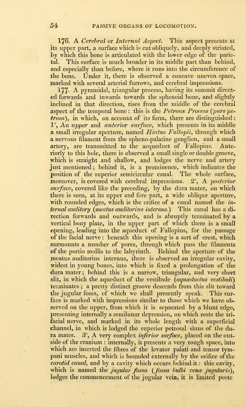 176. A Cerebral or hiternal Aspect. This aspect presents at its upper part, a surface which is cut obliquely, and deeply striated, by which this bone is articulated with the lower edge of the parie- tal. This surface is much broader in its middle part than behind, and especially than before, where it runs into the circumference of the bone. Under it, there is observed a concave uneven space, marked with several arterial furrows, and cerebral impressions. 177- A pyramidal, triangular process, having its summit direct- ed forwards and inwards towards the sphenoid bone, and slightly inclined in that direction, rises from the middle of the cerebral aspect of the temporal bone: this is the Petrous Process {pars pe- trosa), in which, on account of its form, there are distinguished: 1°, An upper and anterior surface, which presents in its middle a small irregular aperture, named Hiatus Fa'llopii, through which a nervous filament from the spheno-palatine ganglion, and a small artery, are transmitted to the acqueduct of Fallopius. Ante- riorly to this hole, there is observed a small single or double groove, which is straight and shallow, and lodges the nerve and artery just mentioned; behind it, is a prominence, which indicates the position of the superior semicircular canal. The whole surface, moreover, is covered with cerebral impressions. 2°, A posterior surface, covered like the preceding, by the dura mater, on which there is seen, at its upper and fore part, a wide oblique aperture, with rovinded edges, which is the orifice of a canal named the in- ternal auditory {meatus auditorius internus.) This canal has a di- rection forwards and outwards, and is abruptly terminated by a vertical bony plate, in the upper part of which there is a small opening, leading into the aqueduct of Fallopius, for the passage of the facial nerve : beneath this opening is a sort of crest, which surmounts a number of pores, through which pass the filaments of the portio mollis to the labyrinth. Behind the aperture of the meatus auditorius internus, there is observed an irregular cavity, widest in young bones, into which is fixed a prolongation of the dura mater; behind this is a narrow, triangular, and very short slit, in which the aqueduct of the vestibule {aquceductus vestibuli) terminates ; a pretty distinct groove descends from this slit toward the jugular fossa, of which we shall presently speak. This sur- face is marked with impressions similar to those which we have ob- served on the upper, from which it is separated by a blunt edge, presenting internalljr a semilunar depression, on which rests the tri- facial nerve, and marked in its whole length with a superficial channel, in which is lodged the superior petrosal sinus of the du- ra mater. 3°, A very complex inferior surface, placed on the out- side of the cranium : internally, it presents a very rough space, into which are inserted the fibres of the levator palati and tensor tym- pani muscles, and which is bounded externally by the orifice of the carotid canal, and by a cavity which occurs behind it: this cavity, which is named the jugular fossa {fossa hulbi vence jtigularis), lodges the commencement of the jugular vein, it is limited poste