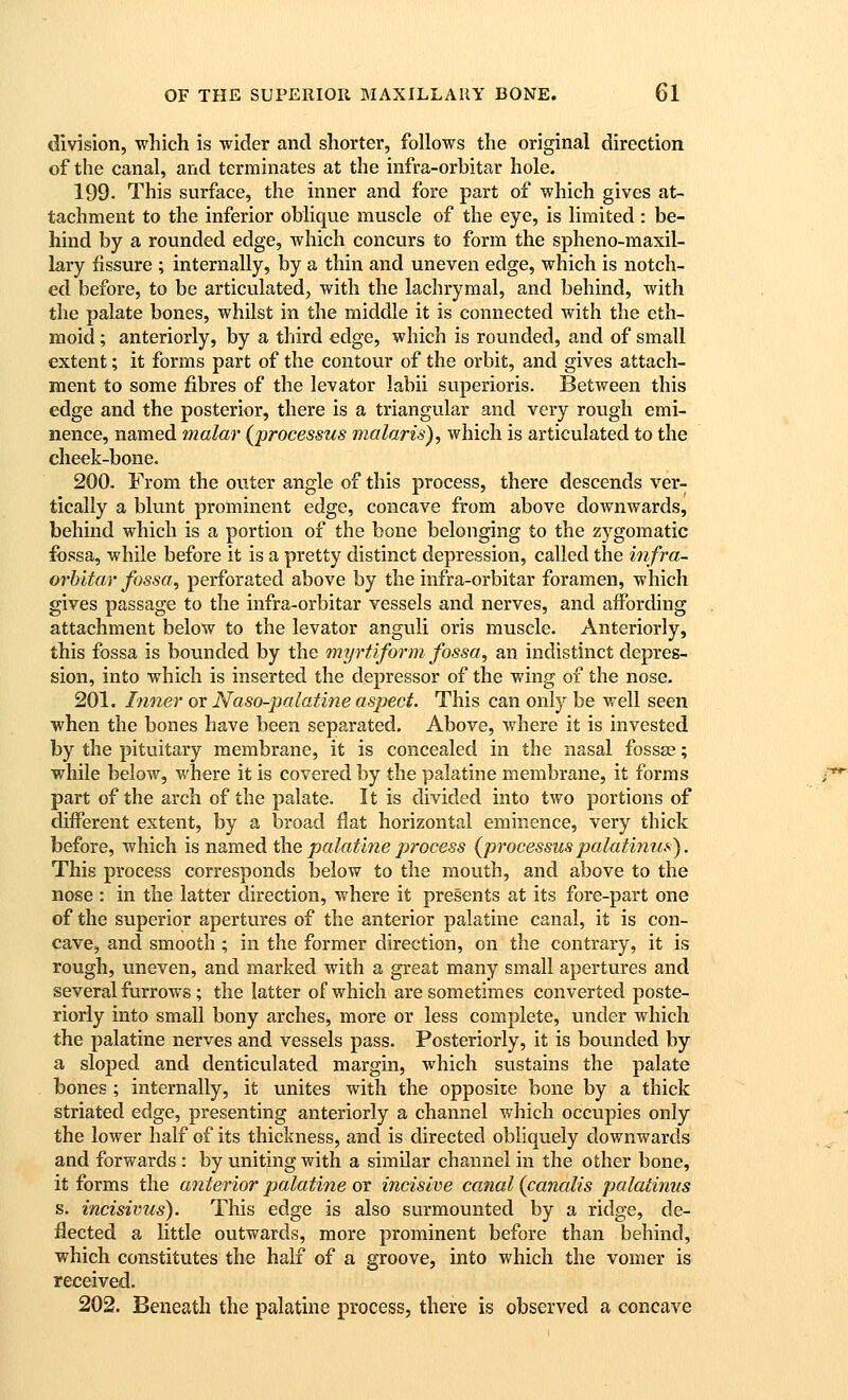 division, which is wider and shorter, follows the original direction of the canal, and terminates at the infra-orbitar hole. 199. This surface, the inner and fore part of which gives at- tachment to the inferior oblique muscle of the eye, is limited : be- hind by a rounded edge, which concurs to form the spheno-maxil- lary fissure ; internally, by a thin and uneven edge, which is notch- ed before, to be articulated, with the lachrymal, and behind, with the palate bones, whilst in the middle it is connected with the eth- moid ; anteriorly, by a third edge, which is rounded, and of small extent; it forms part of the contour of the orbit, and gives attach- ment to some fibres of the levator labii superioris. Between this edge and the posterior, there is a triangular and very rough emi- nence, named malar (processus malaris), which is articulated to the cheek-bone. 200. From the outer angle of this process, there descends ver- tically a blunt prominent edge, concave from above downwards, behind which is a portion of the bone belonging to the zygomatic fossa, while before it is a pretty distinct depression, called the infra- orbitar fossa, perforated above by the infra-orbitar foramen, which gives passage to the infra-orbitar vessels and nerves, and affording attachment below to the levator anguli oris muscle. Anteriorly, this fossa is bounded by the myrtiform fossa, an indistinct depres- sion, into which is inserted the depressor of the wing of the nose, 201. Inner or Naso-palatine aspect. This can only be well seen when the bones have been separated. Above, where it is invested by the pituitary membrane, it is concealed in the nasal fossae; while below, where it is covered by the palatine membrane, it forms part of the arch of the palate. It is divided into two portions of different extent, by a broad flat horizontal eminence, very thick before, which is named the palatine process (processus palati?ius). This process corresponds below to the mouth, and above to the nose : in the latter direction, where it presents at its fore-part one of the superior apertures of the anterior palatine canal, it is con- cave, and smooth ; in the former direction, on the contrary, it is rough, uneven, and marked with a great many small apertures and several furrows; the latter of which are sometimes converted poste- riorly into small bony arches, more or less complete, under which the palatine nerves and vessels pass. Posteriorly, it is bounded by a sloped and denticulated margin, which sustains the palate bones; internally, it unites with the opposite bone by a thick striated edge, presenting anteriorly a channel which occupies only the lower half of its thickness, and is directed obliquely downwards and forwards : by uniting with a similar channel in the other bone, it forms the afiterior palatine or incisive canal (canalis palatimis s. incisivus). This edge is also surmounted by a ridge, de- flected a little outwards, more prominent before than behind, which constitutes the half of a groove, into which the vomer is received. 202. Beneath the palatine process, there is observed a concave