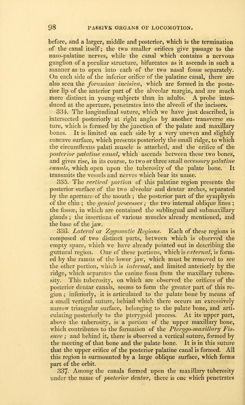 before, and a larger, middle and posterior, which is the termination of the canal itself; the two smaller orifices give passage to the naso-palatine nerves, while the canal which contains a nervous ganglion of a peculiar structure, bifurcates as it ascends in such a manner as to open into each of the two nasal fossae separately. On each side of the inferior orifice of the palatine canal, there are also seen the foramina incisiva, which are formed in the poste- rior lip of the anterior part of the alveolar margin, and are much more distinct in young subjects than in adults. A probe intro- duced at the aperture, penetrates into the alveoli of the incisors. 334. The longitudinal suture, which we have just described, is intersected posteriorly at right angles by another transverse su- ture, which is formed by the junction of the palate and maxiUary bones. It is limited on each side by a very uneven and slightly concave surface, which presents posteriorly the small ridge, to which the circumflexus palati muscle is attached, and the orifice of the posterior palatine canal, which ascends between these two bones, and gives rise, in its course, to two or three small accessory palatine canals, which open vipon the tuberosity of the palate bone. It transmits the vessels and nerves which bear its name. 335. The vertical portion of this palatine region presents the posterior surface of the two alveolar and dentar arches, separated by the aperture of the mouth ; the posterior part of the symphysis of the chin ; the genial processes ; the two internal oblique lines ; the fossae, in which are contained the sublingual and submaxillary glands ; the insertions of various muscles already mentioned, and the base of the jaw. 336. Lateral or Zygomatic Regions. Each of these regions is composed of two distinct parts, between which is observed the empty space, which we have already pointed out in describing the guttural region. One of these portions, which is external, is form- ed by the ramus of the lower jaw, which must be removed to see the other portion, which is internal, and limited anteriorly by the ridge, which separates the canine fossa from the maxillary tubero- sity. This tuberosity, on which are observed the orifices of the posterior dentar canals, seems to form the greater part of this re- gion ; inferiorly, it is articulated to the palate bone by means of a small vertical suture, behind which there occurs an excessively narrow triangular surface, belonging to the palate bone, and arti- culating posteriorly to the pterygoid process. At its upper part, above the tuberosity, is a portion of the upper maxillary bone, which contributes to the formation of the Pterygo-maxillary Fis- sure ; and behind it, there is observed a vertical suture, formed by the meeting of that bone and the palate bone. It is in this suture that the upper orifice of the posterior palatine canal is formed. All this region is surmounted by a large oblique surface, which forms part of the orbit. 337- Among the canals formed upon the maxillary tuberosity under the name of posterior dentar, there is one which penetrates