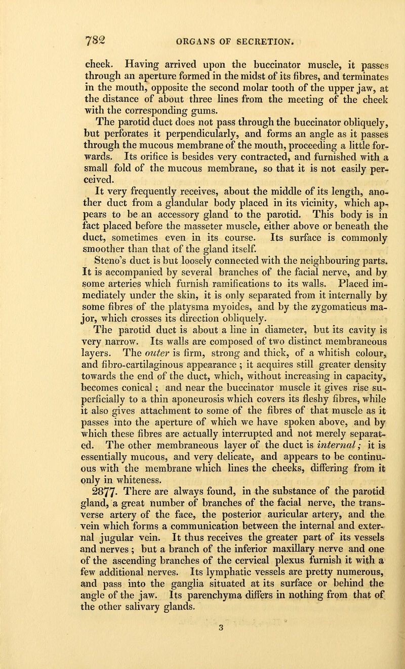 cheek. Having arrived upon the buccinator muscle, it passes through an aperture formed in the midst of its fibres, and terminates in the mouth, opposite the second molar tooth of the upper jaw, at the distance of about three lines from the meeting of the cheek with the corresponding gums. The parotid duct does not pass through the buccinator obliquely, but perforates it perpendicularly, and forms an angle as it passes through the mucous membrane of the mouth, proceeding a little for- wards. Its orifice is besides very contracted, and furnished with a small fold of the mucous membrane, so that it is not easily per- ceived. It very frequently receives, about the middle of its length, ano- ther duct from a glandular body placed in its vicinity, which ap- pears to be an accessory gland to the parotid. This body is in fact placed before the masseter muscle, either above or beneath the duct, sometimes even in its course. Its surface is commonly smoother than that of the gland itself. Steno*'s duct is but loosely connected with the neighbouring parts. It is accompanied by several branches of the facial nerve, and by some arteries which furnish ramifications to its walls. Placed im- mediately under the skin, it is only separated from it internally by some fibres of the platysma myoides, and by the zygomaticus ma- jor, which crosses its direction obliquely. The parotid duct is about a line in diameter, but its cavity is very narrow. Its walls are composed of two distinct membraneous layers. The outer is firm, strong and thick, of a whitish colour, and fibro-cartilaginous appearance ; it acquires still greater density towards the end of the duct, which, without increasing in capacity, becomes conical; and near the buccinator muscle it gives rise su- perficially to a thin aponeurosis which covers its fleshy fibres, while it also gives attachment to some of the fibres of that muscle as it passes into the aperture of which we have spoken above, and by which these fibres are actually interrupted and not merely separat- ed. The other membraneous layer of the duct is internal; it is essentially mucous, and very delicate, and appears to be continu- ous with the membrane which lines the cheeks, differing from it only in whiteness. 2877- There are always found, in the substance of the parotid gland, a great number of branches of the facial nerve, the trans- verse artery of the face, the posterior auricular artery, and the vein which forms a communication between the internal and exter- nal jugular vein. It thus receives the greater part of its vessels and nerves ; but a branch of the inferior maxillary nerve and one of the ascending branches of the cervical plexus furnish it with a few additional nerves. Its lymphatic vessels are pretty numerous, and pass into the ganglia situated at its surface or behind the angle of the jaw. Its parenchyma differs in nothing from that of the other salivary glands.