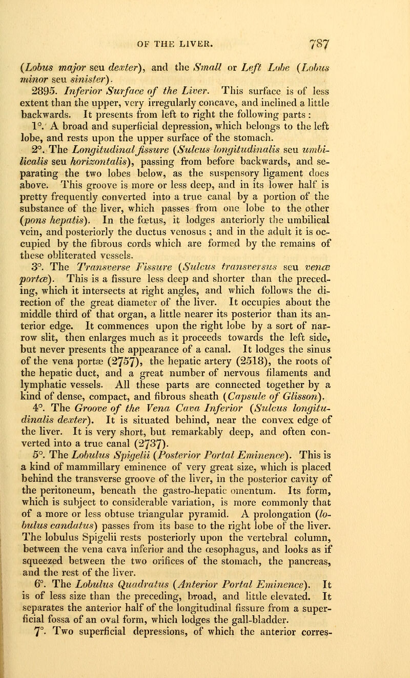 (Lobus major seu dexter), and the Small or Lefl Lobe (Lobus ndnor seu sinister). 2895. Inferior Surface of the Liver. This surface is of less extent than the upper, very irregularly concave, and inclined a little backwards. It presents from left to right the following parts : 1°. A broad and superficial depression, which belongs to the left lobe, and rests upon the upper surface of the stomach. 2^. The LongitudinalJissure (Sulcus lotigitudinalis seu umbi- liealis seu hori^ontalis), passing from before backwards, and se- parating the two lobes below, as the suspensory ligament does 9,bove. This groove is more or less deep, and in its lower half is pretty frequently converted into a true canal by a portion of the substance of the liver, which passes from one lobe to the other (pons hepatis). In the foetus, it lodges anteriorly the umbilical vein, and posteriorly the ductus venosus ; and in the adult it is oc- cupied by the fibrous cords which are formed by the remains of these obliterated vessels. 3°. The Transverse Fissure {Sulcus transversus seu vencB portce). This is a fissure less deep and shorter than the preced- ing, which it intersects at right angles, and which follows the di- rection of the great diameter of the liver. It occupies about the middle third of that organ, a little nearer its posterior than its an- terior edge. It commences upon the right lobe by a sort of nar- row slit, then enlarges much as it proceeds towards the left side, but never presents the appearance of a canal. It lodges the sinus of the vena portae (2757)» the hepatic artery (2518), the roots of the hepatic duct, and a great number of nervous filaments and lymphatic vessels. All these parts are connected together by a kind of dense, compact, and fibrous sheath {Capsule of Glisson). 4°. The Groove of the Vena Cava Inferior (Sulcus lo7igitu- dinalis dexter). It is situated behind, near the convex edge of the liver. It is very short, but remarkably deep, and often con- verted into a true canal (2737). 5°. The Lobulus Spigelii (Posterior Portal Eminence). This is a kind of mammillary eminence of very great size, which is placed behind the transverse groove of the liver, in the posterior cavity of the peritoneum, beneath the gastro-hepatic omentum. Its form, which is subject to considerable variation, is more commonly that of a more or less obtuse triangular pyramid. A prolongation (lo- bulus candatus) passes from its base to the right lobe of the liver. The lobulus Spigelii rests posteriorly upon the vertebral column, between the vena cava inferior and the oesophagus, and looks as if squeezed between the two orifices of the stomach, the pancreas, and the rest of the liver. 6°. The Lobulus Quadratus (Anterior Portal Etninence). It is of less size than the preceding, broad, and little elevated. It separates the anterior half of the longitudinal fissure from a super- ficial fossa of an oval form, which lodges the gall-bladder. 7°- Two superficial depressions, of which the anterior corres-
