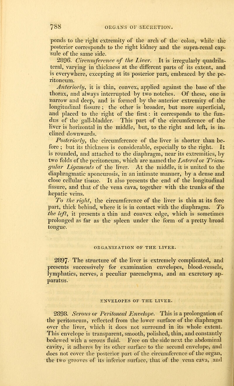 ponds to the right extremity of the arch of the colon, while the posterior corresponds to the right kidney and the supra-renal cap- sule of the same side. 2896. Circumference of the Liver. It is irregularly quadrila- teral, varying in thickness at the different parts of its extent, and is everywhere, excepting at its posterior part, embraced by the pe- ritoneum. Anteriorly^ it is thin, convex, applied against the base of the thorax, and always interrupted by two notches. Of these, one is narrow and deep, and is formed by the anterior extremity of the longitudinal fissure; the other is broader, but more superficial, and placed to the right of the first: it corresponds to the fun- dus of the gall-bladder. This part of the circumference of the liver is horizontal in the middle, but, to the right and left, is in- clined downwards. Posteriorly, the circumference of the liver is shorter than be- fore ; but its thickness is considerable, especially to the right. It is rounded, and attached to the diaphragm, near its extremities, by two folds of the peritoneum, which are named the Lateral ox Trian- gular Ligaments of the liver. At the middle, it is united to the diaphragmatic aponeurosis, in an intimate manner, by a dense and close cellular tissue. It also presents the end of the longitudinal fissure, and that of the vena cava, together with the trunks of the hepatic veins. To the right, the circumference of the liver is thin at its fore part, thick behind, where it is in contact with the diaphragm. To the left, it presents a thin and convex edge, which is sometimes prolonged as far as the spleen under the form of a pretty broad tongue. OKGANIZATION OF THE LIVER. 2897- The structure of the liver is extremely complicated, and presents successively for examination envelopes, blood-vessels, lymphatics, nerves, a peculiar parenchyma, and an excretory ap- paratus. ENVELOPES OF THE LIVEll. 2898. Serous or Peritoneal Envelope. This is a prolongation of the peritoneum, reflected from the lower surface of the diaphragm over the liver, which it does not surround in its whole extent. This envelope is transparent, smooth, polished, thin, and constantly bedewed with a serous fluid. Free on the side next the abdominal cavity, it adheres by its other surface to the second envelope, and does not cover the posterior part of the circumference of the organ, the two grooves of its inferior surface, that of the vena cava, and
