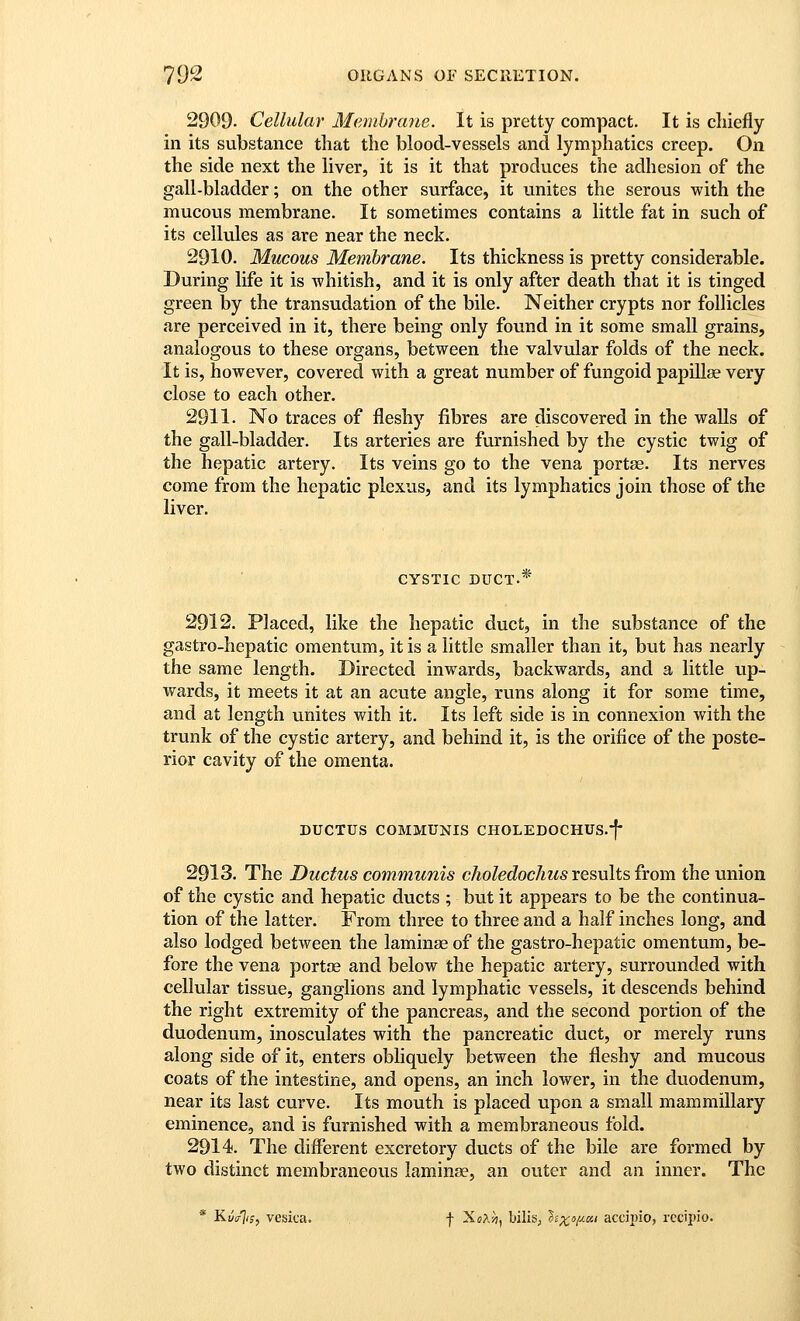 2909. Cellular Membrane. It is pretty compact. It is chiefly in its substance that the blood-vessels and lymphatics creep. On the side next the liver, it is it that produces the adhesion of the gall-bladder; on the other surface, it unites the serous with the mucous membrane. It sometimes contains a little fat in such of its cellules as are near the neck. 2910. Mucous Membrane. Its thickness is pretty considerable. During life it is whitish, and it is only after death that it is tinged green by the transudation of the bile. Neither crypts nor follicles are perceived in it, there being only found in it some small grains, analogovis to these organs, between the valvular folds of the neck. It is, however, covered with a great number of fungoid papillae very close to each other. 2911. No traces of fleshy fibres are discovered in the walls of the gall-bladder. Its arteries are furnished by the cystic twig of the hepatic artery. Its veins go to the vena portse. Its nerves come from the hepatic plexus, and its lymphatics join those of the liver. CYSTIC DUCT.'^ 2912. Placed, like the hepatic duct, in the substance of the gastro-hepatic omentum, it is a little smaller than it, but has nearly the same length. Directed inwards, backwards, and a little up- wards, it meets it at an acute angle, runs along it for some time, and at length unites with it. Its left side is in connexion with the trunk of the cystic artery, and behind it, is the orifice of the poste- rior cavity of the omenta. DUCTUS COMMUNIS CHOLEDOCHUS.-f- 2913. The Ductus communis choledocJius results from the union of the cystic and hepatic ducts ; but it appears to be the continua- tion of the latter. From three to three and a half inches long, and also lodged between the laminae of the gastro-hepatic omentum, be- fore the vena portte and below the hepatic artery, surrounded with cellular tissue, ganglions and lymphatic vessels, it descends behind the right extremity of the pancreas, and the second portion of the duodenum, inosculates with the pancreatic duct, or merely runs along side of it, enters obhquely between the fleshy and mucous coats of the intestine, and opens, an inch lower, in the duodenum, near its last curve. Its mouth is placed upon a small mammillary eminence, and is furnished with a membraneous fold. 2914. The different excretory ducts of the bile are formed by two distinct membraneous laminee, an outer and an inner. The * Ku/jiSf vesica. f XsA^j, biliS; ?£;t;»/^«!/ accipio, rccipio.
