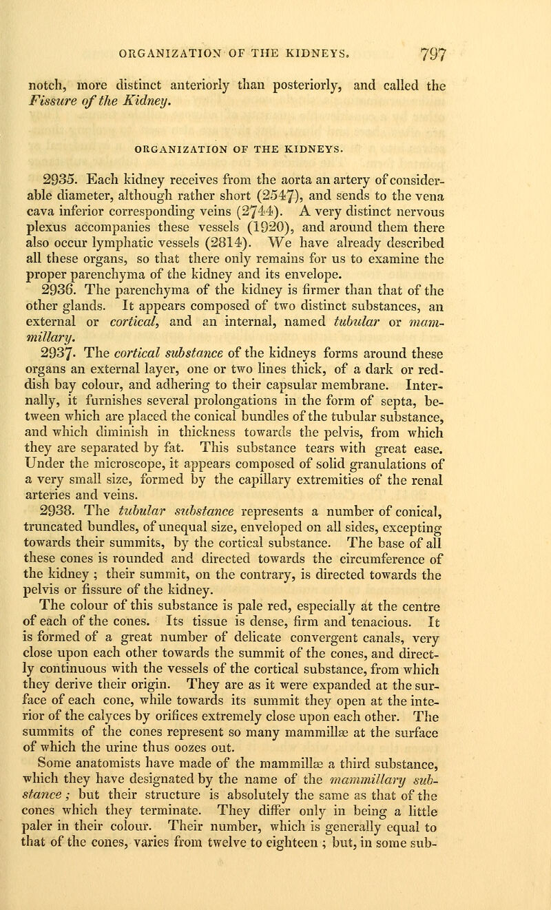 notch, more distinct anteriorly than posteriorly, and called the Fissure of the Kidney. ORGANIZATION OF THE KIDNEYS. 2935. Each kidney receives from the aorta an artery of consider- able diameter, although rather short (2547)5 and sends to the vena cava inferior corresponding veins (2744). A very distinct nervous plexus accompanies these vessels (1920), and around them there also occur lymphatic vessels (2814). We have already described all these organs, so that there only remains for us to examine the proper parenchyma of the kidney and its envelope. 2936. The parenchyma of the kidney is firmer than that of the other glands. It appears composed of two distinct substances, an external or cortical, and an internal, named tubular or mam- miliary. 2937- The cortical substance of the kidneys forms around these organs an external layer, one or two lines thick, of a dark or red- dish bay colour, and adhering to their capsular membrane. Inter- nally, it furnishes several prolongations in the form of septa, be- tween which are placed the conical bundles of the tubular substance, and which diminish in thickness towards the pelvis, from which they are separated by fat. This substance tears with great ease. Under the microscope, it appears composed of solid granulations of a very small size, formed by the capillary extremities of the renal arteries and veins. 2938. The tubular substance represents a number of conical, truncated bundles, of unequal size, enveloped on all sides, excepting towards their summits, by the cortical substance. The base of all these cones is rounded and directed towards the circumference of the kidney ; their summit, on the contrary, is directed towards the pelvis or fissure of the kidney. The colour of this substance is pale red, especially at the centre of each of the cones. Its tissue is dense, firm and tenacious. It is formed of a great number of delicate convergent canals, very close upon each other towards the summit of the cones, and direct- ly continuous with the vessels of the cortical substance, from which they derive their origin. They are as it were expanded at the sur- face of each cone, while towards its summit they open at the inte- rior of the calyces by orifices extremely close upon each other. The summits of the cones represent so many mammillae at the surface of which the urine thus oozes out. Some anatomists have made of the mammillae a third substance, which they have designated by the name of the mammiUary sub- stance ; but their structure is absolutely the same as that of the cones which they terminate. They differ only in being a little paler in their colour. Their number, which is generally equal to that of the cones, varies from twelve to eighteen ; but, in some sub-