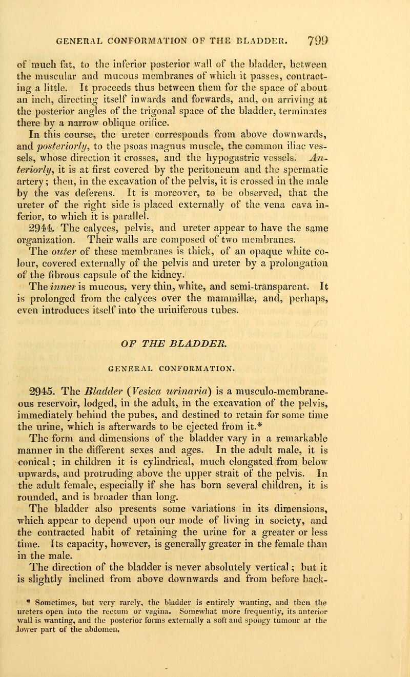 of much mt, to the inferior posterior wall of the bladder, between the muscular and mucous membranes of which it passes, contract- ing a httle. It proceeds thus between them for the space of about an inch, directing itself inwards and forwards, and, on arriving at the posterior angles of the trigonal space of the bladder, terminates there by a narrow oblique orifice. In this course, the ureter corresponds from above downwards, and posteriorly, to the psoas magntis muscle, the common iliac ves- sels, whose direction it crosses, and the hypogastric vessels. A7i- teriorly, it is at first covered by the peritoneum and the spermatic artery; then, in the excavation of the pelvis, it is crossed in the male by the vas deferens. It is moreover, to be observed, that the ureter of the right side is placed externally of the vena cava in- ferior, to which it is parallel. 2944. The calyces, pelvis, and ureter appear to have the same organization. Their walls are composed of two membranes. The outer of these membranes is thick, of an opaque white co- lour, covered externally of the pelvis and ureter by a prolongation of the fibrous capsule of the kidney. The inner is mucous, very thin, white, and semi-transparent. It is prolonged from the calyces over the mammillae, and, perhaps, even introduces itself into the uriniferous tubes. OF THE BLADDER. GENERAL CONFORMATION. 294!5. The Bladder {Vesica urinaria) is a musculo-membrane- ous reservoir, lodged, in the adult, in the excavation of the pelvis, immediately behind the pubes, and destined to retain for some time the urine, which is afterwards to be ejected from it.* The form and dimensions of the bladder vary in a remarkable manner in the different sexes and ages. In the adult male, it is conical; in children it is cylindrical, much elongated from below upwards, and protruding above the upper strait of the pelvis. In the adult female, especially if she has born several children, it is rounded, and is broader than long. The bladder also presents some variations in its dimensions, which appear to depend upon our mode of living in society, and the contracted habit of retaining the urine for a greater or less time. Its capacity, however, is generally greater in the female than in the male. The direction of the bladder is never absolutely vertical; but it is slightly inclined from above downwards and from before back-  Sometimes, but very rarely, the bladder is entirely wanting, and then tJie ureters open into the rectum or vagina. Somewhat more frequently, its anterior wall is wanting, and the posterior forms externally a soft and spongy tumour at the Jower part of the abdomen.