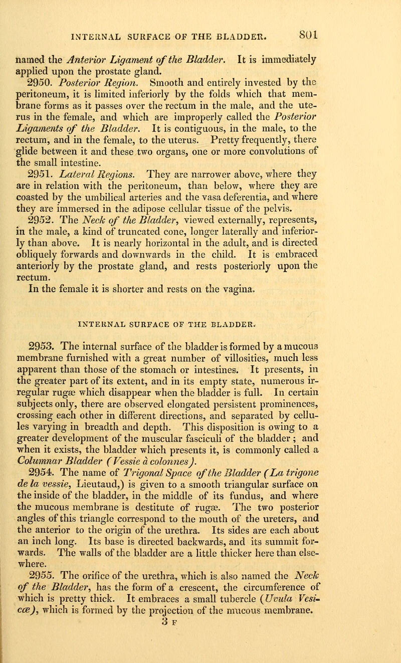 named the Anterior Ligament of the Bladder. It is immediately applied upon the prostate gland. 2950. Posterior Region. Smooth and entirely invested by the peritoneum, it is limited inferiorly by the folds which that mem- brane forms as it passes over the rectum in the male, and the ute- rus in the female, and which are improperly called the Posterior Ligaments of the Bladder. It is contiguous, in the male, to the rectum, and in the female, to the uterus. Pretty frequently, there glide between it and these two organs, one or more convolutions of the small intestine. 2951. Lateral Regions. They are narrower above, where they are in relation with the peritoneum, than below, where they are coasted by the umbilical arteries and the vasa deferentia, and where they are immersed in the adipose cellular tissue of the pelvis. 2952. The Neck of the Bladder, viewed externally, represents, in the male, a kind of truncated cone, longer laterally and inferior- ly than above. It is nearly horizontal in the adult, and is directed obliquely forwards and downwards in the child. It is embraced anteriorly by the prostate gland, and rests posteriorly upon the rectum. In the female it is shorter and rests on the vagina. INTERNAL SURFACE OF THE BLADDER, 2953. The internal surface of the bladder is formed by a mucous membrane furnished with a great number of villosities, much less apparent than those of the stomach or intestines. It presents, in the greater part of its extent, and in its empty state, numerous ir- regular rugse which disappear when the bladder is full. In certain subjects only, there are observed elongated persistent prominences, crossing each other in different directions, and separated by cellu- les varying in breadth and depth. This disposition is owing to a greater development of the muscular fasciculi of the bladder ; and when it exists, the bladder which presents it, is commonly called a Columnar Bladder (Vessie a colonnesj. 2954. The name of Trigonal Space of the Bladder (La trigone de la vessie, Lieutaud,) is given to a smooth triangular surface on the inside of the bladder, in the middle of its fundus, and where the mucous membrane is destitute of rugse. The two posterior angles of this triangle correspond to the mouth of the ureters, and the anterior to the origin of the urethra. Its sides are each about an inch long. Its base is directed backwards, and its summit for- wards. The walls of the bladder are a little thicker here than else- where. 2955. The orifice of the urethra, which is also named the Neck of the Bladder, has the form of a crescent, the circumference of which is pretty thick. It embraces a small tubercle {Uvula Vest- ccb), which is formed by the projection of the mucous membrane. 3f