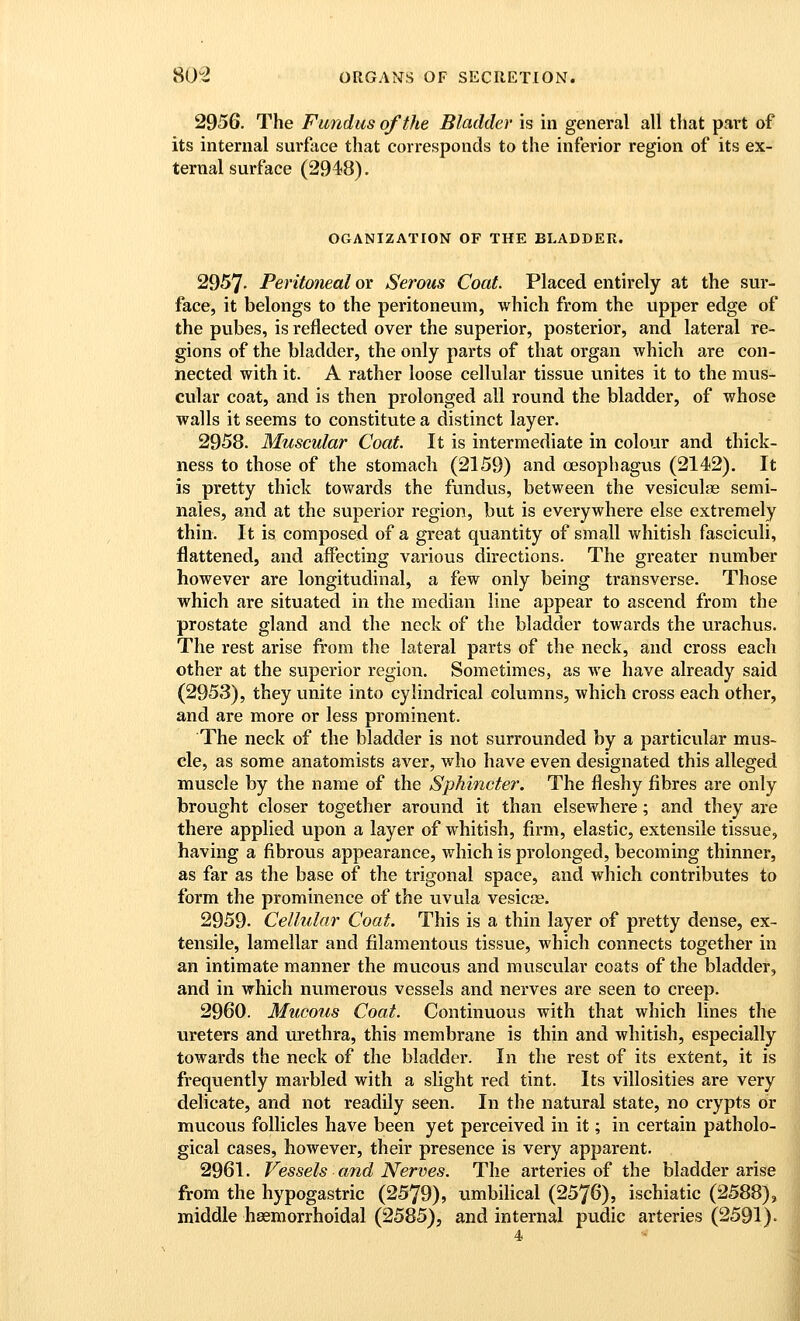 2956. The Fundus of the Bladder is in general all that part of its internal surface that corresponds to the inferior region of its ex- ternal surface (2948). OGANIZATION OF THE BLADDER, 2957- Peritoneal or Serous Coat. Placed entirely at the sur- face, it belongs to the peritoneum, which from the upper edge of the pubes, is reflected over the superior, posterior, and lateral re- gions of the bladder, the only parts of that organ which are con- nected with it. A rather loose cellular tissue vinites it to the mus- cular coat, and is then prolonged all round the bladder, of whose walls it seems to constitute a distinct layer. 2958. Muscular Coat. It is intermediate in colour and thick- ness to those of the stomach (2159) and oesophagus (2142). It is pretty thick towards the fundus, between the vesiculas semi- nales, and at the superior region, but is everywhere else extremely thin. It is composed of a great quantity of small whitish fasciculi, flattened, and affecting various directions. The greater number however are longitudinal, a few only being transverse. Those which are situated in the median line appear to ascend from the prostate gland and the neck of the bladder towards the urachus. The I'est arise from the lateral parts of the neck, and cross each other at the superior region. Sometimes, as we have already said (2953), they unite into cylindrical columns, which cross each other, and are more or less prominent. The neck of the bladder is not surrounded by a particular mus- cle, as some anatomists aver, who have even designated this alleged muscle by the name of the Sphincter. The fleshy fibres are only brought closer together around it than elsewhere; and they are there applied upon a layer of whitish, firm, elastic, extensile tissue, having a fibrous appearance, which is prolonged, becoming thinner, as far as the base of the trigonal space, and which contributes to form the prominence of the uvula vesicae. 2959- Cellular Coat. This is a thin layer of pretty dense, ex- tensile, lamellar and filamentous tissue, which connects together in an intimate manner the mucous and muscular coats of the bladder, and in which numerous vessels and nerves are seen to creep. 2960. Mucous Coat. Continuous with that which lines the ureters and urethra, this membrane is thin and whitish, especially towards the neck of the bladder. In the rest of its extent, it is frequently marbled with a slight red tint. Its villosities are very delicate, and not readily seen. In the natural state, no crypts or mucous follicles have been yet perceived in it; in certain patholo- gical cases, however, their presence is very apparent. 2961. Vessels and Nerves. The arteries of the bladder arise from the hypogastric (2579), umbilical (2576), ischiatic (2588), middle hsemorrhoidal (2585), and internal pudic arteries (2591).