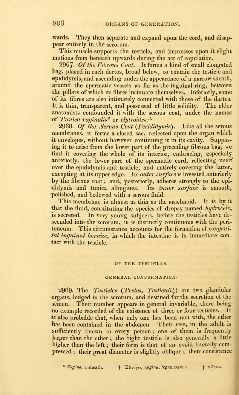 wards. They then separate and expand upon the cord, and disap- pear entirely in the scrotum. This muscle supports the testicle, and impresses upon it slight motions from beneath upwards during the act of copulation. 2967. Of the Fibrous Coat. It forms a kind of small elongated bag, placed in each dartos, broad below, to contain the testicle and epididymis, and ascending under the appearance of a narrow sheath, around the spermatic vessels as far as the inguinal ring, between the pillars of which its fibres insinuate themselves. Inferiorly, some of its fibres are also intimately connected with those of the dartos. It is thin, transparent, and possessed of little solidity. The older anatomists confounded it with the serous coat, under the names of Tunica vaginalis^ or elytroides.-f 2968. Of the Serous Coat {Perididymis). Like all the serous membranes, it forms a closed sac, reflected upon the organ which it envelopes, without however continuing it in its cavity. Suppos- ing it to arise from the lower part of the preceding fibrous bag, we find it covering the whole of its interior, embracing, especially anteriorly, the lower part of the spermatic cord, reflecting itself over the epididymis and testicle, and entirely covering the latter, excepting at its upper edge. Its outer surface is invested anteriorly by the fibrous coat; and, posteriorly, adheres strongly to the epi- didymis and tunica albuginea. Its inner surface is smooth, polished, and bedewed with a serous fluid. This membrane is almost as thin as the arachnoid. It is by it that the fluid, constituting the species of dropsy named hydrocele^ is secreted. In very young subjects, before the testicles have de- scended into the scrotum, it is distinctly continuous with the peri- toneum. This circumstance accounts for the formation of congeni- tal inguinal hernicB, in which the intestine is in immediate con- tact with the testicle. OF THE TESTICLES. GENERAL CONFORMATION. 2969. The Testicles {Testes., Testiculi\) are two glandular organs, lodged in the scrotum, and destined for the secretion of the semen. Their number appears in general invariable, there being no example recorded of the existence of three or four testicles. It is also probable that, when only one has been met with, the other has been contained in the abdomen. Their size, in the adult is sufficiently known to every person ; one of them is frequently larger than the other ; the right testicle is also generally a little higher than the left; their form is that of an ovoid laterally com- pressed ; their great diameter is slightly oblique ; their consistence * Vagina, a sheath. ■}• 'Exz/t^«v, vagina, tegumentuni. \ AI011//.0U