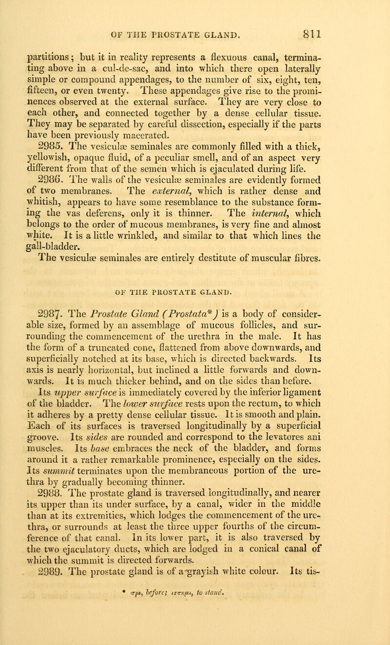 partitions; but it in reality represents a flexuous canal, termina- ting above in a cul-de-sac, and into which there open laterally- simple or compound appendages, to the number of six, eight, ten, fifteen, or even twenty. These appendages give rise to the promi- nences observed at the external surface. They are very close to each other, and connected together by a dense cellular tissue. They may be separated by careful dissection, especially if the parts have been previously macerated. 2985. The vesiculse seminales are commonly filled with a thick, yellowish, opaque fluid, of a peculiar smell, and of an aspect very different from that of the semen which is ejaculated during life. 2986. The walls of the vesiculfe seminales are evidently formed of two membranes. The external, which is rather dense and whitish, appears to have some resemblance to the substance form- ing the vas deferens, only it is thinner. The internal, which belongs to the order of mucous membranes, is very fine and almost white. It is a little wrinkled, and similar to that which lines the gall-bladder. The vesiculse seminales are entirely destitute of muscular fibres. OF THE PROSTATE GLAND. 2987- The Prostate Gland (Prostata^) is a body of consider- able size, formed by an assemblage of mucous foUicles, and sur- rounding the commencement of the urethra in the male. It has the form of a truncated cone, flattened from above downwards, and superficially notched at its base, which is directed backwards. Its axis is nearly horizontal, but inclined a little forwards and down- wards. It is much thicker behind, and on the sides than before. Its upper surface is immediately covered by the inferior ligament of the bladder. The lower surface rests upon the rectum, to which it adheres by a pretty dense cellular tissue. It is smooth and plain. Each of its surfaces is traversed longitudinally by a superficial groove. Its sides are rounded and correspond to the levatores ani muscles. Its base embraces the neck of the bladder, and forms around it a rather remarkable prominence, especially on the side?. Its summit texmmsiie& upon the membraneous portion of the ure- thra by gradually becoming thinner. 2988. The prostate gland is traversed longitudinally, and nearer its upper than its under surface, by a canal, wider in the middle than at its extremities, which lodges the commencement of the ure- thra, or surrounds at least the three upper fourths of the circum- ference of that canal. In its lower part, it is also traversed by the two ejaculatory ducts, which are lodged in a conical canal of which the summit is directed forwards. 2989. The prostate gland is of a-^rayish white colour. Its tis- • ^^0, Icfore; {frjiy-i, to .ifaud.