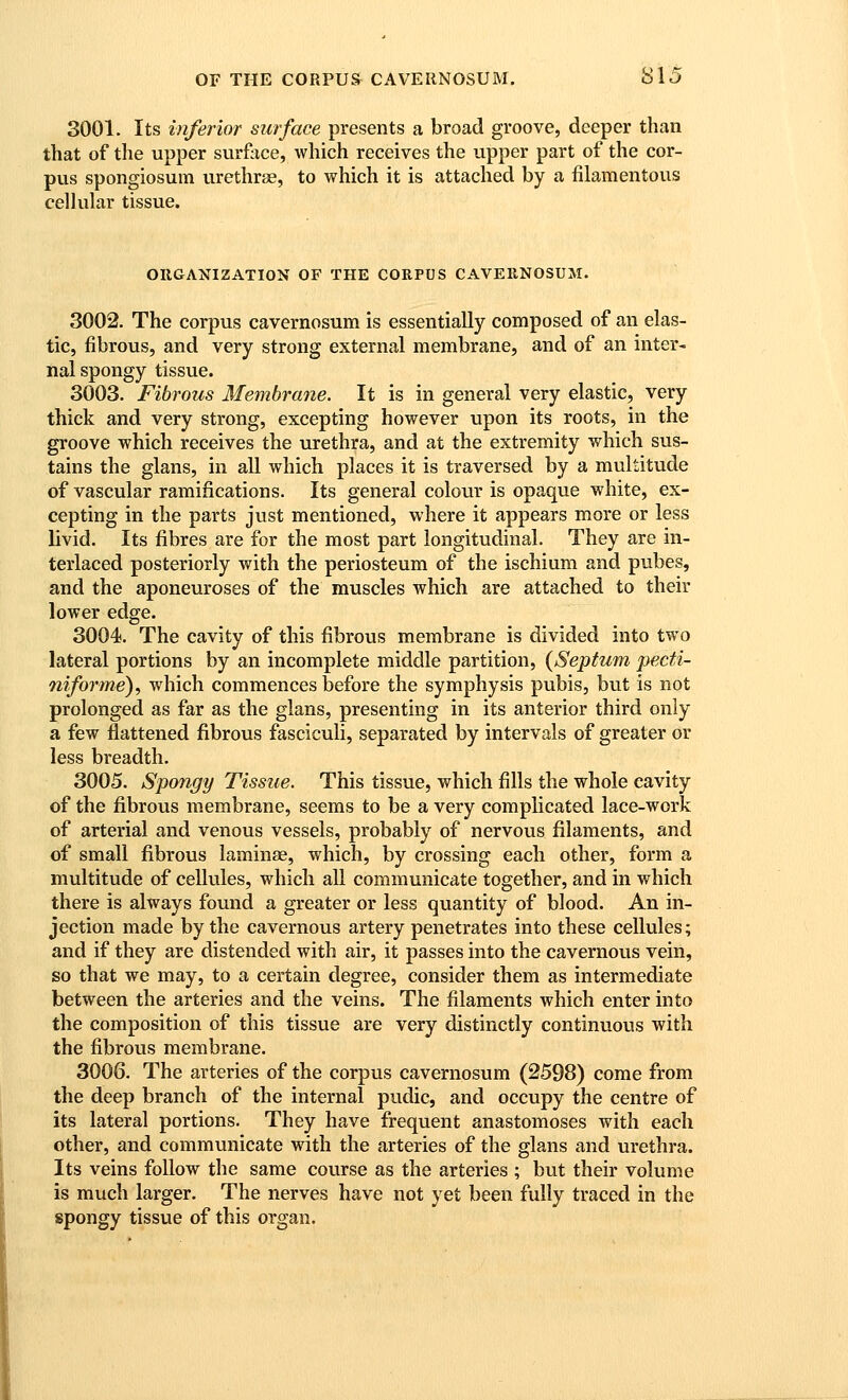 3001. Its inferior surface presents a broad groove, deeper than that of the upper surface, which receives the upper part of the cor- pus spongiosum urethrae, to which it is attached by a filamentous cellular tissue. ORGANIZATION OF THE CORPUS CAVERNOSUM. 3002. The corpus cavernosum is essentially composed of an elas- tic, fibrous, and very strong external membrane, and of an inter- nal spongy tissue. 3003. Fibrous Membrane. It is in general very elastic, very thick and very strong, excepting however upon its roots, in the groove which receives the urethra, and at the extremity which sus- tains the glans, in all which places it is traversed by a multitude of vascular ramifications. Its general colour is opaque white, ex- cepting in the parts just mentioned, where it appears more or less livid. Its fibres are for the most part longitudinal. They are in- terlaced posteriorly with the periosteum of the ischium and pubes, and the aponeuroses of the muscles which are attached to their lower edge. 3004. The cavity of this fibrous membrane is divided into two lateral portions by an incomplete middle partition, {Septum pecti- niforme), which commences before the symphysis pubis, but is not prolonged as far as the glans, presenting in its anterior third only a few flattened fibrous fasciculi, separated by intervals of greater or less breadth. 3005. Spongy Tissue. This tissue, which fills the whole cavity of the fibrous membrane, seems to be a very complicated lace-work of arterial and venous vessels, probably of nervous filaments, and of small fibrous laminae, which, by crossing each other, form a multitude of cellules, which all communicate together, and in which there is always found a greater or less quantity of blood. An in- jection made by the cavernous artery penetrates into these cellules; and if they are distended with air, it passes into the cavernous vein, so that we may, to a certain degree, consider them as intermediate between the arteries and the veins. The filaments which enter into the composition of this tissue are very distinctly continuous with the fibrous membrane. 3000. The arteries of the corpus cavernosum (2598) come from the deep branch of the internal pudic, and occupy the centre of its lateral portions. They have frequent anastomoses with each other, and communicate with the arteries of the glans and urethra. Its veins follow the same covirse as the arteries ; but their volume is much larger. The nerves have not yet been fully traced in the spongy tissue of this organ.