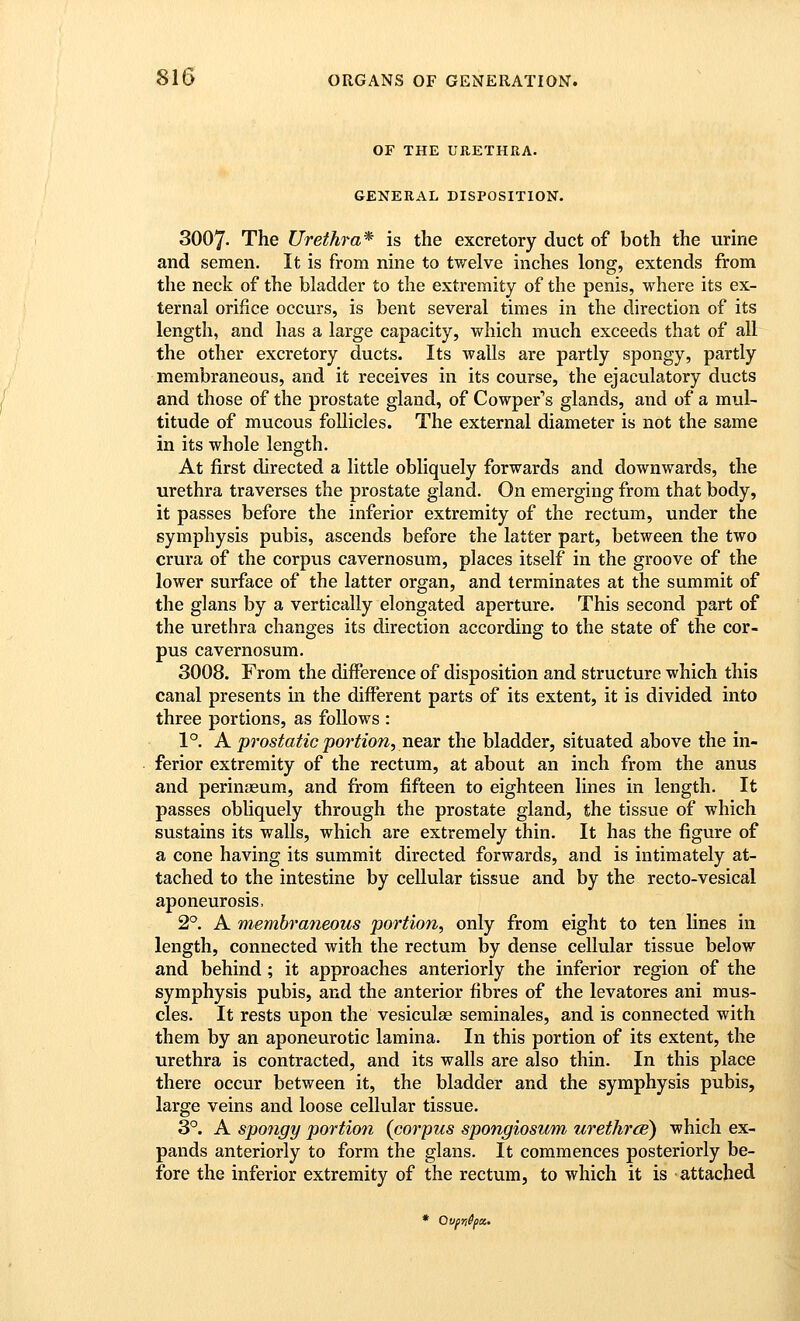 OF THE URETHRA. GENERAL DISPOSITION. 3007- The Urethra* is the excretory duct of both the urine and semen. It is from nine to twelve inches long, extends from the neck of the bladder to the extremity of the penis, where its ex- ternal orifice occurs, is bent several times in the direction of its length, and has a large capacity, which much exceeds that of all the other excretory ducts. Its walls are partly spongy, partly membraneous, and it receives in its course, the ejaculatory ducts and those of the prostate gland, of Cowper''s glands, and of a mul- titude of mucous follicles. The external diameter is not the same in its whole length. At first directed a little obliquely forwards and downwards, the urethra traverses the prostate gland. On emerging from that body, it passes before the inferior extremity of the rectum, under the symphysis pubis, ascends before the latter part, between the two crura of the corpus cavernosum, places itself in the groove of the lower surface of the latter organ, and terminates at the summit of the glans by a vertically elongated aperture. This second part of the urethra changes its direction according to the state of the cor- pus cavernosum. 3008. From the difference of disposition and structure which this canal presents in the different parts of its extent, it is divided into three portions, as follows : 1°. A prostatic po7'tion, near the bladder, situated above the in- ferior extremity of the rectum, at about an inch from the anus and perinaeum, and from fifteen to eighteen lines in length. It passes obliquely through the prostate gland, the tissue of which sustains its walls, which are extremely thin. It has the figure of a cone having its summit directed forwards, and is intimately at- tached to the intestine by cellular tissue and by the recto-vesical aponeurosis, 2°. A membraneous portion, only from eight to ten lines in length, connected with the rectum by dense cellular tissue below and behind ; it approaches anteriorly the inferior region of the symphysis pubis, and the anterior fibres of the levatores ani mus- cles. It rests upon the vesiculae seminales, and is connected with them by an aponeurotic lamina. In this portion of its extent, the urethra is contracted, and its walls are also thin. In this place there occur between it, the bladder and the symphysis pubis, large veins and loose cellular tissue. 3°. A spongy portion (corpus spongiosum urethrce) which ex- pands anteriorly to form the glans. It commences posteriorly be- fore the inferior extremity of the rectum, to which it is attached