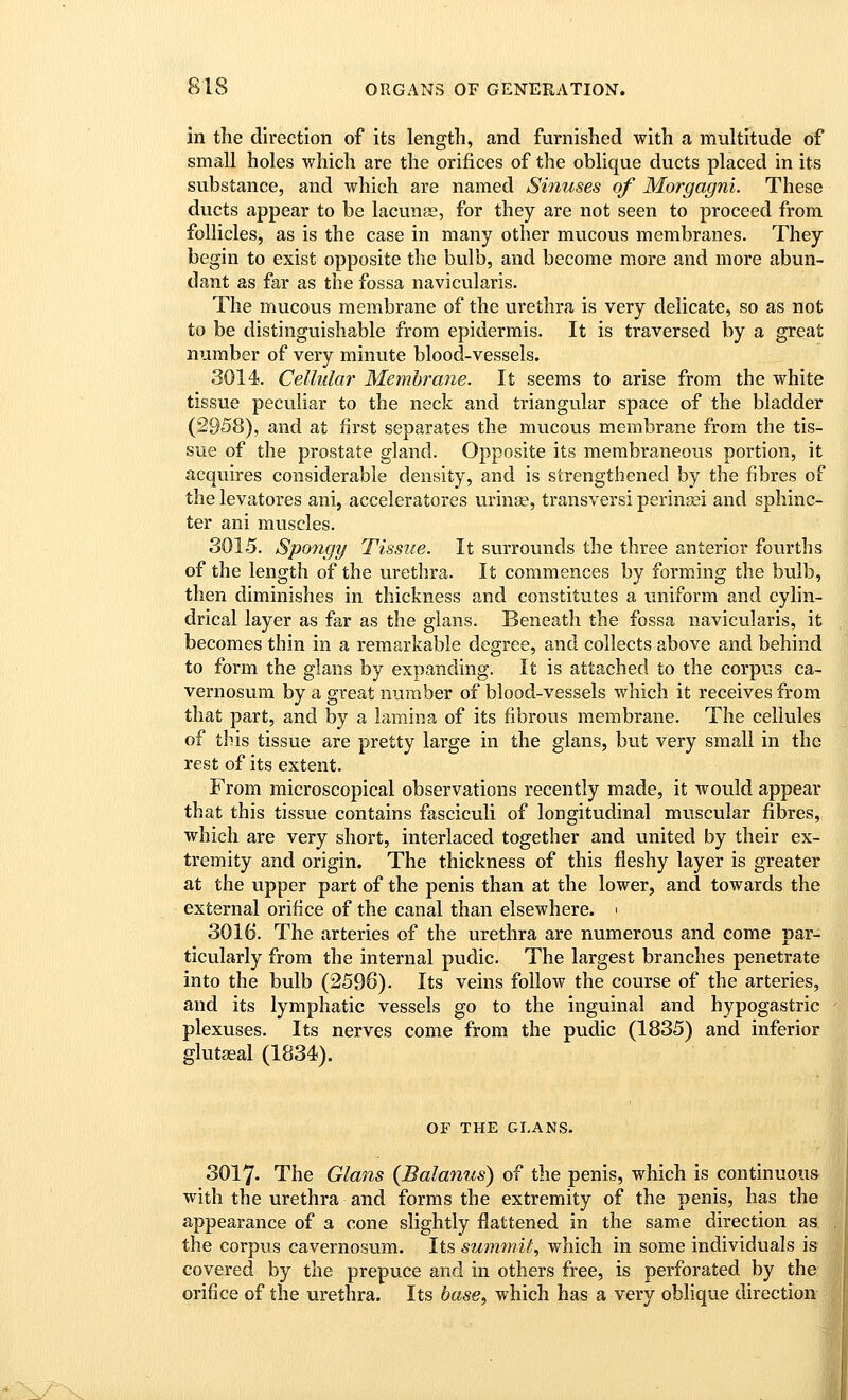 in the direction of its lengtli, and furnished with a multitude of small holes which are the orifices of the oblique ducts placed in its substance, and which are named Sinuses of Morgagni. These ducts appear to be lacuna;, for they are not seen to proceed from follicles, as is the case in many other mucous membranes. They begin to exist opposite the bulb, and become more and more abun- dant as far as the fossa navicularis. The mucous membrane of the urethra is very delicate, so as not to be distinguishable from epidermis. It is traversed by a great number of very minute blood-vessels. 3014. Cellular Membrane. It seems to arise from the white tissue peculiar to the neck and triangular space of the bladder (2958), and at first separates the mucous membrane from the tis- sue of the prostate gland. Opposite its membraneous portion, it acquires considerable density, and is strengthened by the fibres of the levatores ani, acceleratores urinse, transversi perinsei and sphinc- ter ani muscles. 3015. Spongy Tissue. It surrounds the three anterior fourths of the length of the urethra. It commences by forming the bulb, then diminishes in thickness and constitutes a uniform and cylin- drical layer as far as the glans. Beneath the fossa navicularis, it becomes thin in a remarkable degree, and collects above and behind to form the glans by expanding. It is attached to the corpus ca- vernosum by a great number of blood-vessels v/hich it receives from that part, and by a himina of its fibrous membrane. The cellules of this tissue are pretty large in the glans, but very small in the rest of its extent. From microscopical observations recently made, it would appear that this tissue contains fasciculi of longitudinal muscular fibres, which are very short, interlaced together and vmited by their ex- tremity and origin. The thickness of this fleshy layer is greater at the upper part of the penis than at the lower, and towards the external orifice of the canal than elsewhere. > 3016. The arteries of the urethra are numerous and come par- ticularly from the internal pudic. The largest branches penetrate into the bulb (2596). Its veins follow the course of the arteries, and its lymphatic vessels go to the inguinal and hypogastric plexuses. Its nerves come from the pudic (1835) and inferior glutseal (1834). OF THE GLANS. 3017- The Glans (Balanus) of the penis, which is continuous with the urethra and forms the extremity of the penis, has the appearance of a cone slightly flattened in the same direction as the corpus cavernosum. Its summit, which in some individuals is covered by the prepuce and in others free, is perforated by the orifice of the urethra. Its base^ which has a very obhque direction