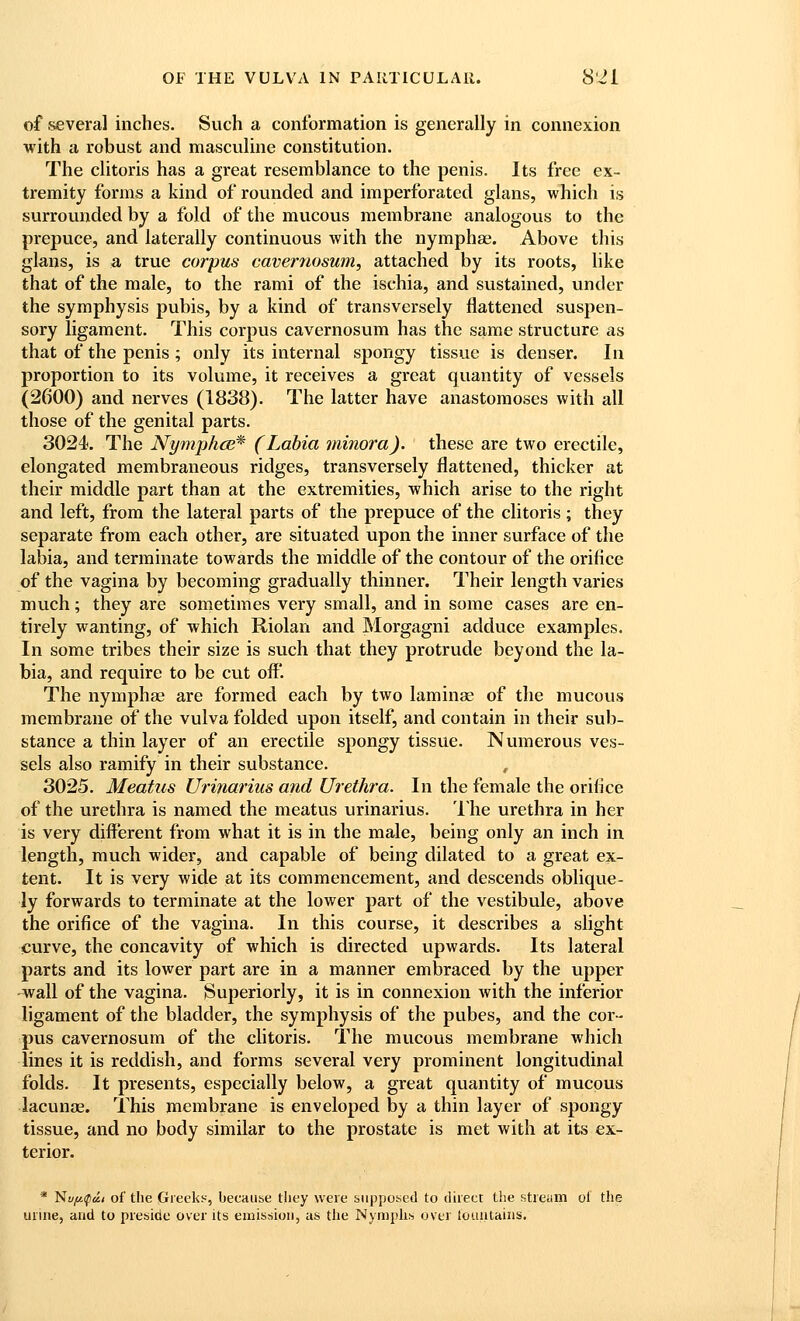 of several inches. Such a conformation is generally in connexion with a robust and masculine constitution. The clitoris has a great resemblance to the penis. Its free ex- tremity forms a kind of rounded and imperforated glans, which is surrounded by a fold of the mucous membrane analogous to the prepuce, and laterally continuous with the nymphse. Above this glans, is a true corpus cavernosum, attached by its roots, like that of the male, to the rami of the ischia, and sustained, under the symphysis pubis, by a kind of transversely flattened suspen- sory ligament. This corpus cavernosum has the same structure as that of the penis ; only its internal spongy tissue is denser. In proportion to its volume, it receives a great quantity of vessels (2600) and nerves (1838). The latter have anastomoses with all those of the genital parts. 3024<. The Nymphce* (Labia minora), these are two erectile, elongated membraneous ridges, transversely flattened, thicker at their middle part than at the extremities, which arise to the right and left, from the lateral parts of the prepuce of the clitoris ; they separate from each other, are situated upon the inner surface of the labia, and terminate towards the middle of the contour of the orifice of the vagina by becoming gradually thinner. Their length varies much; they are sometimes very small, and in some cases are en- tirely wanting, of which Riolan and Morgagni adduce examples. In some tribes their size is such that they protrude beyond the la- bia, and require to be cut off. The nymphse are formed each by two laminae of the mucous membrane of the vulva folded upon itself, and contain in their sub- stance a thin layer of an erectile spongy tissue. Numerous ves- sels also ramify in their substance. 3025. Meatus Urmarius and Urethra. In the female the orifice of the urethra is named the meatus urinarius. 'I'he urethra in her is very different from what it is in the male, being only an inch in length, much wider, and capable of being dilated to a great ex- tent. It is very wide at its commencement, and descends oblique- ly forwards to terminate at the lower part of the vestibule, above the orifice of the vagina. In this course, it describes a slight curve, the concavity of which is directed upwards. Its lateral parts and its lower part are in a manner embraced by the upper -wall of the vagina. Superiorly, it is in connexion with the inferior ligament of the bladder, the symphysis of the pubes, and the cor- pus cavernosum of the clitoris. The mucous membrane which lines it is reddish, and forms several very prominent longitudinal folds. It presents, especially below, a great quantity of mucous lacunae. This membrane is enveloped by a thin layer of spongy tissue, and no body similar to the prostate is met with at its ex- terior. * Nuy.^a.1 of the Greeks, because they were supposed to diiect the stream oi the urine, and to preside over its emission, as the Nymphs over louutains.