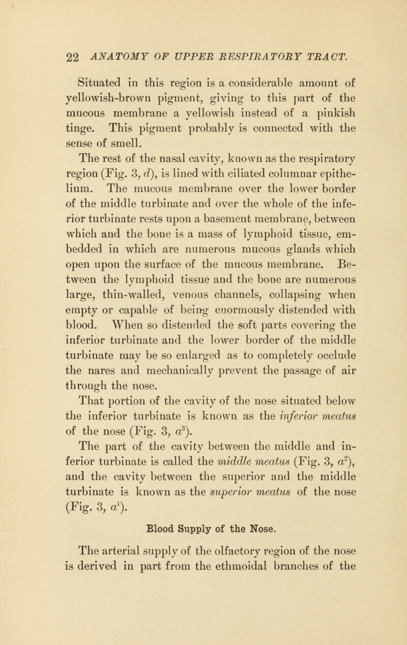 Situated in this region is a considerable amount of yellowish-brown pigment, giving to this part of the mucous membrane a yellowish instead of a pinkish tinge. This pigment probably is connected with the sense of smell. The rest of the nasal cavity, known as the respiratory region (Fig. 3, d), is lined with ciliated columnar epithe- lium. The mucous membrane over the lower border of the middle turbinate and over the whole of the infe- rior turbinate rests upon a basement membrane, between which and the bone is a mass of lymphoid tissue, em- bedded in which are numerous mucous glands which open upon the surface of the mucous membrane. Be- tween the lymphoid tissue and the bone are numerous large, thin-walled, venous channels, collapsing when empty or capable of being enormously distended with blood. When so distended the soft parts covering the inferior turbinate and the lower border of the middle turbinate may be so enlarged as to completely occlude the nares and mechanically prevent the passage of air through the nose. That portion of the cavity of the nose situated below the inferior turbinate is known as the inferior meatus of the nose (Fig. 3, a3). The part of the cavity between the middle and in- ferior turbinate is called the middle meatus (Fig. 3, a2), and the cavity between the superior and the middle turbinate is known as the superior meatus of the nose (Fig. 3, a)). Blood Supply of the Nose. The arterial supply of the olfactory region of the nose is derived in part from the ethmoidal branches of the