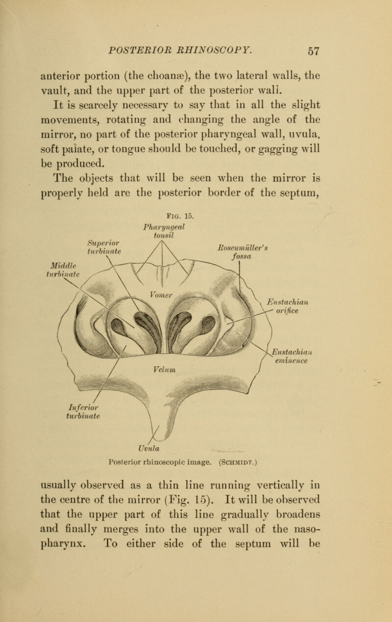 anterior portion (the choame), the two lateral walls, the vault, and the upper part of the posterior wall. It is scarcely necessary to say that in all the slight movements, rotating and changing the angle of the mirror, no part of the posterior pharyngeal wall, uvula, soft palate, or tongue should be touched, or gagging will be produced. The objects that will be seen when the mirror is properly held are the posterior border of the septum, Superior turbinate Fig. 15. Pharyngeal tonsil RosenmuUer's fossa Middle turbinate Eustachian orifice Eustachian eminence Inferior turbinate Uvida Posterior rbinoscopic image. (Schmidt.) usually observed as a thin line running vertically in the centre of the mirror (Fig. 15). It will be observed that the upper part of this line gradually broadens and finally merges into the upper wall of the naso- pharynx. To either side of the septum will be