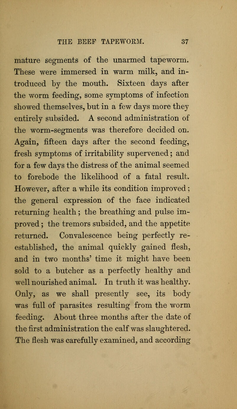 mature segments of the unarmed tapeworm. These were immersed in warm milk, and in- troduced by the mouth. Sixteen days after the worm feeding, some symptoms of infection showed themselves, but in a few days more they entirely subsided. A second administration of the worm-segments was therefore decided on. Again, fifteen days after the second feeding, fresh symptoms of irritability supervened; and for a few days the distress of the animal seemed to forebode the likelihood of a fatal result. However, after a while its condition improved; the general expression of the face indicated returning health; the breathing and pulse im- proved ; the tremors subsided, and the appetite returned. Convalescence being perfectly re- established, the animal quickly gained flesh, and in two months' time it might have been sold to a butcher as a perfectly healthy and well nourished animal. In truth it was healthy. Only, as we shall presently see, its body was full of parasites resulting from the worm feeding. About three months after the date of the first administration the calf was slaughtered. The flesh was carefully examined, and according