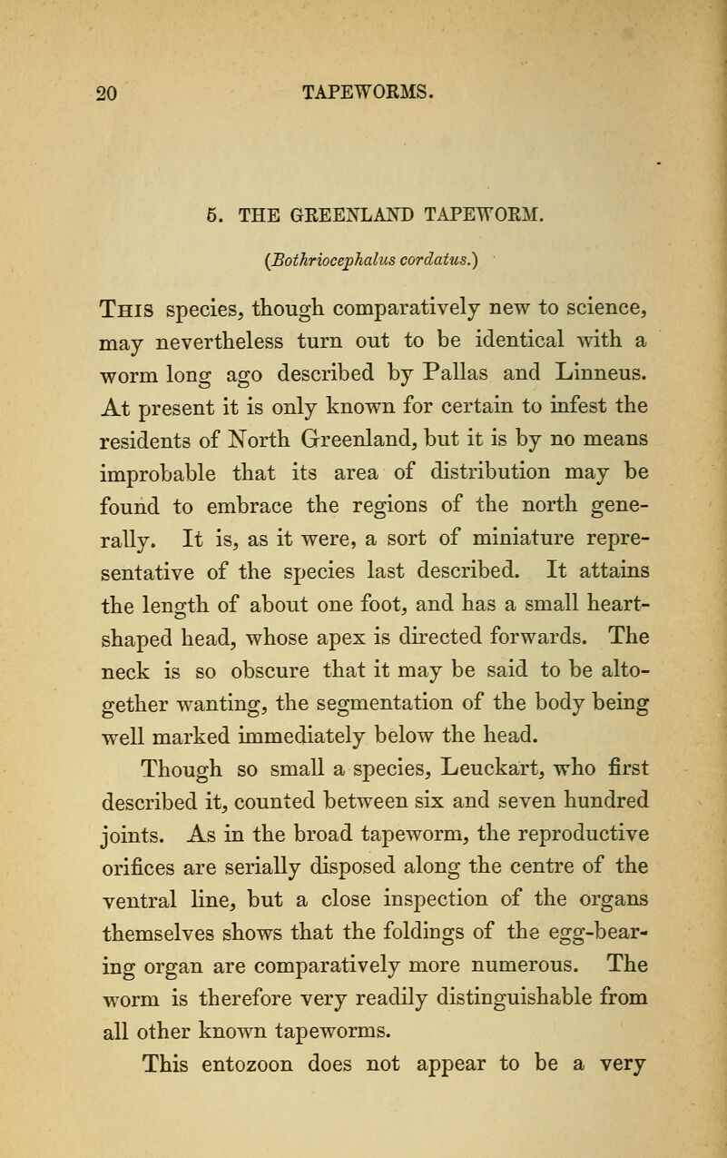 5. THE GREENLAND TAPEWORM. {Bothriocephalus cordatus.) This species, though comparatively new to science, may nevertheless turn out to be identical with a worm long ago described by Pallas and Linneus. At present it is only known for certain to infest the residents of North Greenland, but it is by no means improbable that its area of distribution may be found to embrace the regions of the north gene- rally. It is, as it were, a sort of miniature repre- sentative of the species last described. It attains the length of about one foot, and has a small heart- shaped head, whose apex is directed forwards. The neck is so obscure that it may be said to be alto- gether wanting, the segmentation of the body being well marked immediately below the head. Though so small a species, Leuckart, who first described it, counted between six and seven hundred joints. As in the broad tapeworm, the reproductive orifices are serially disposed along the centre of the ventral line, but a close inspection of the organs themselves shows that the foldings of the egg-bear- ing organ are comparatively more numerous. The worm is therefore very readily distinguishable from all other known tapeworms. This entozoon does not appear to be a very