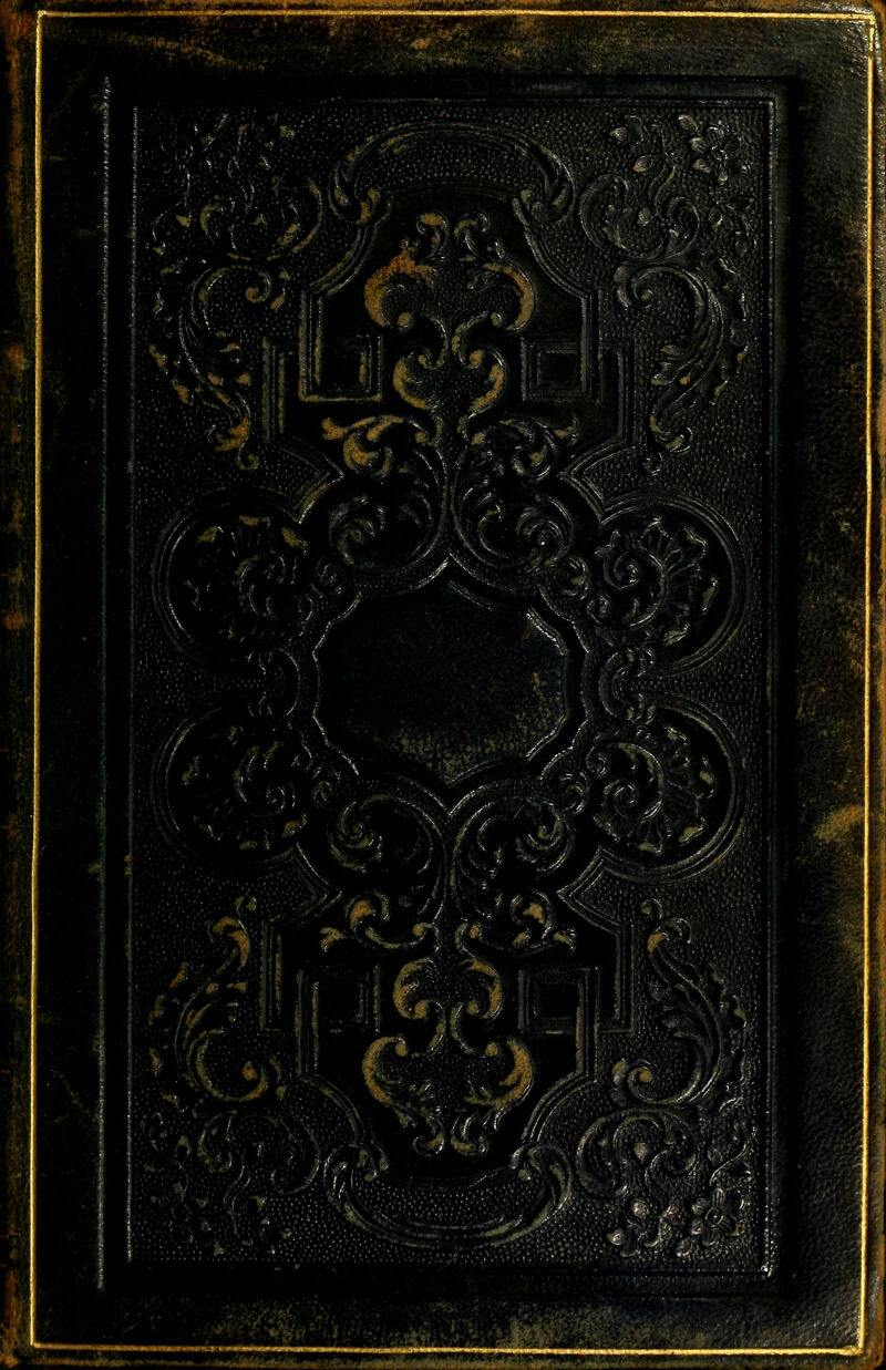 i \' ■ i *arw* -.-■. j> ■ -•'--• ** ' -^¡-düiggMMrikÍatoa¿Éá£